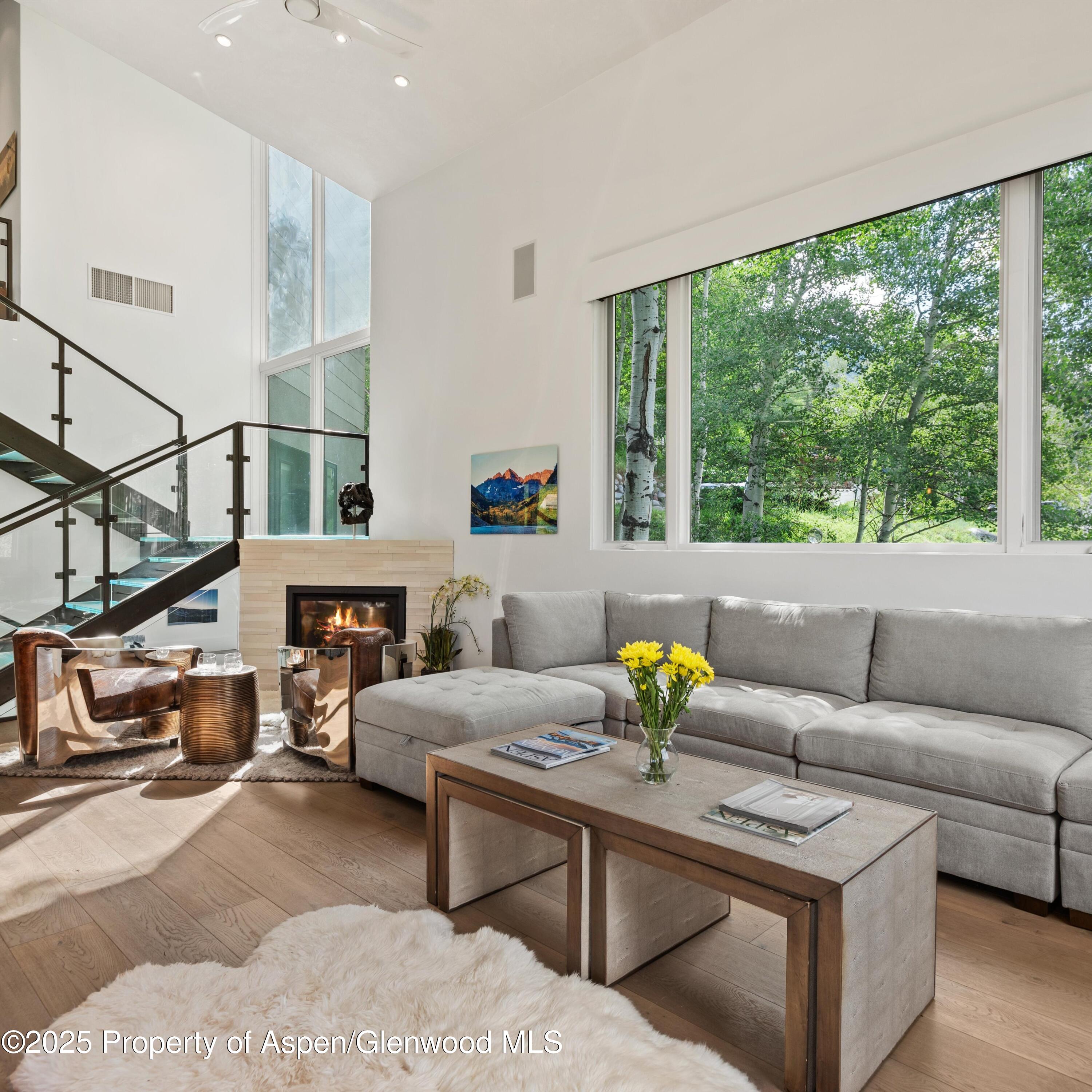 257 Mountain Laurel Drive Aspen CO 81611