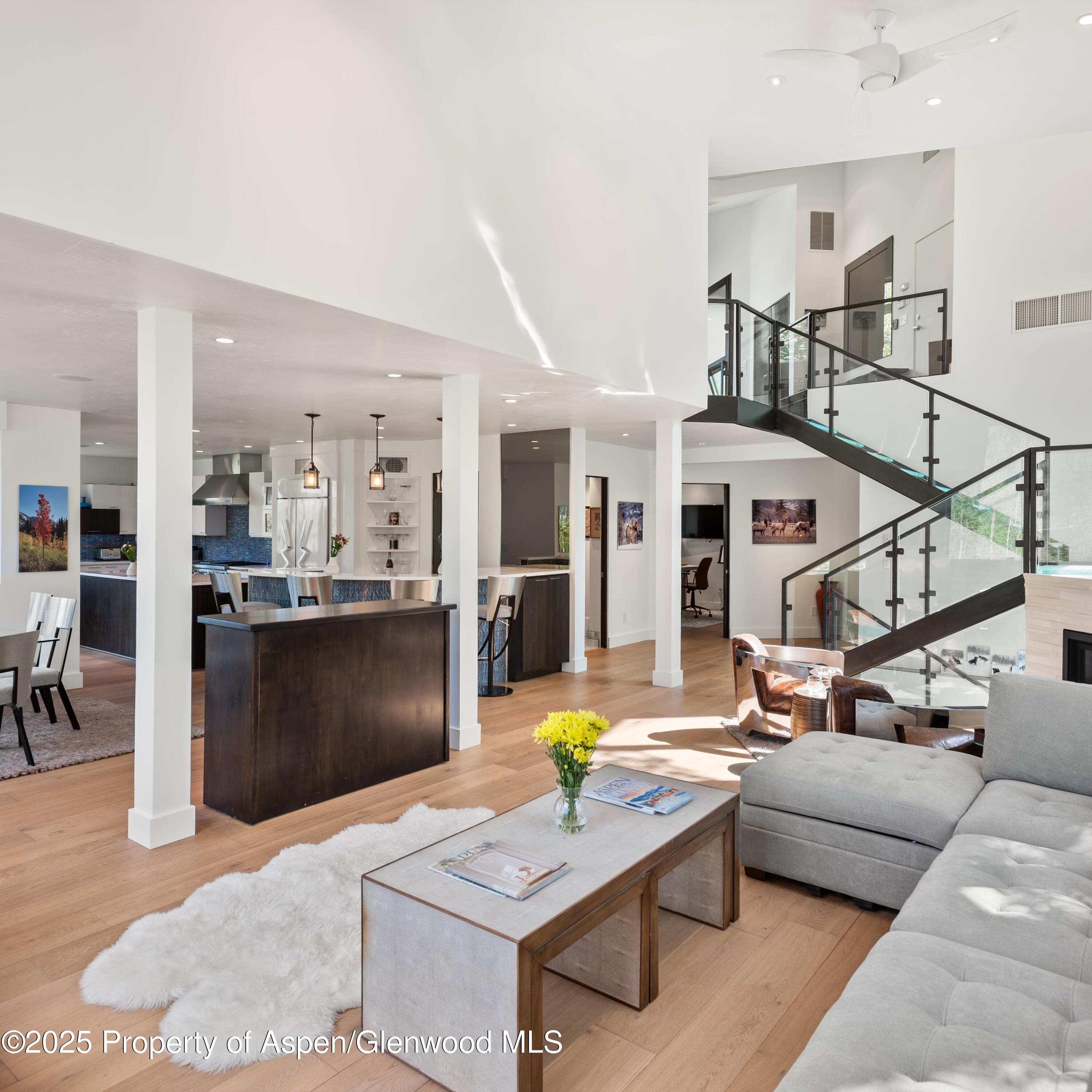 257 Mountain Laurel Drive Aspen CO 81611