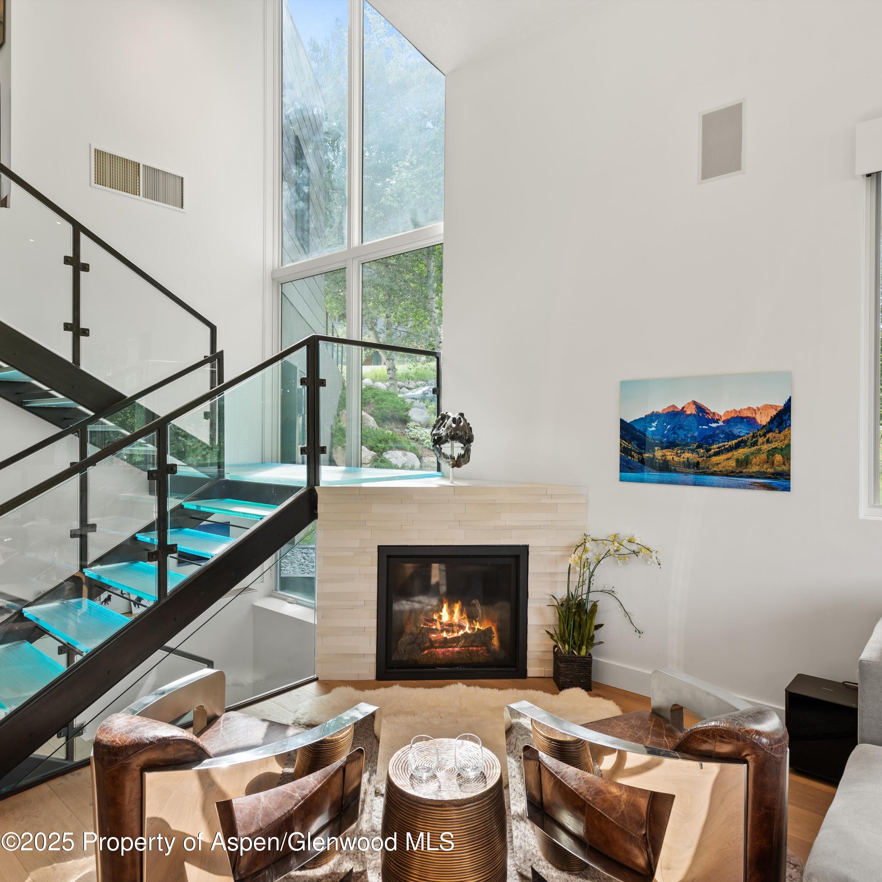 257 Mountain Laurel Drive Aspen CO 81611