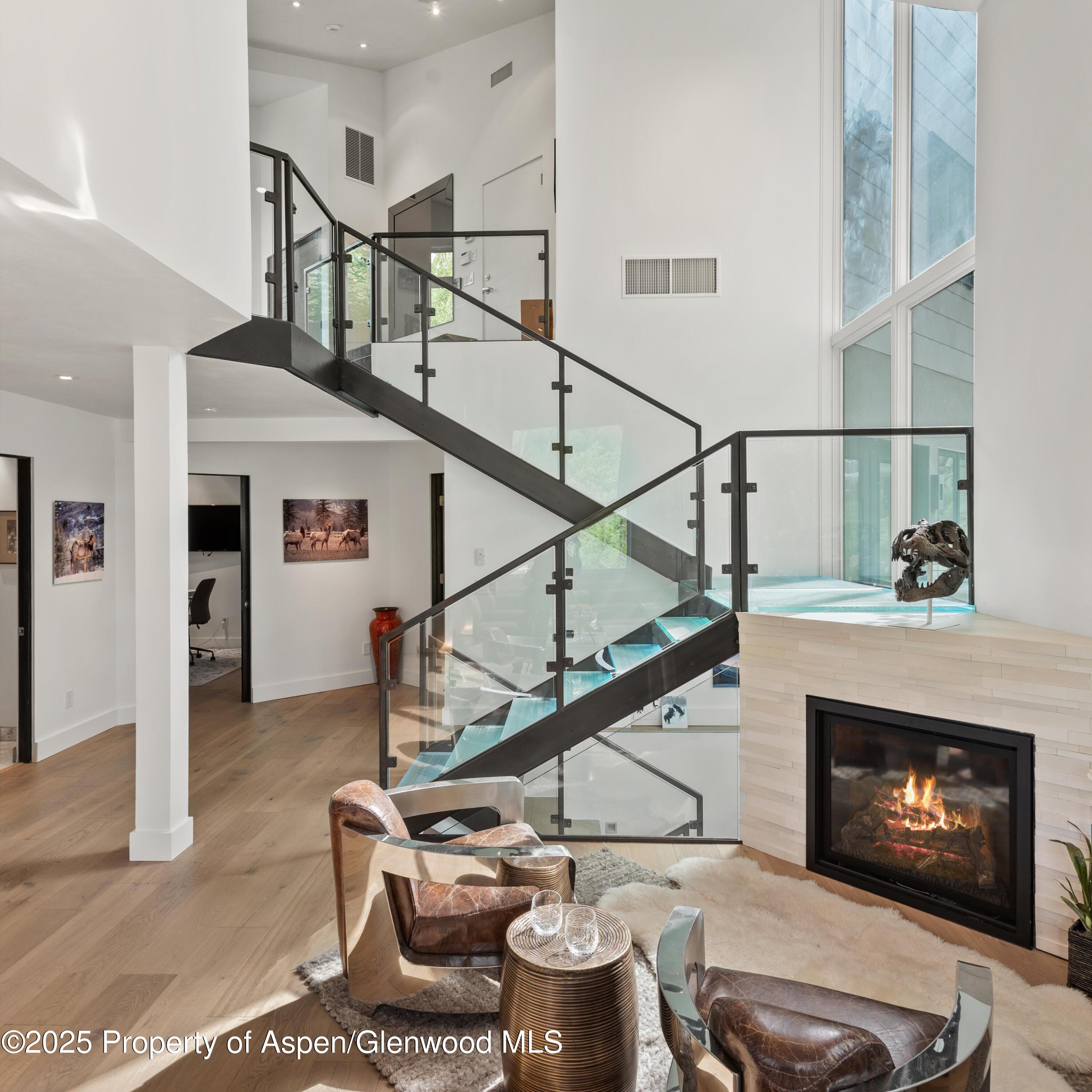 257 Mountain Laurel Drive Aspen CO 81611