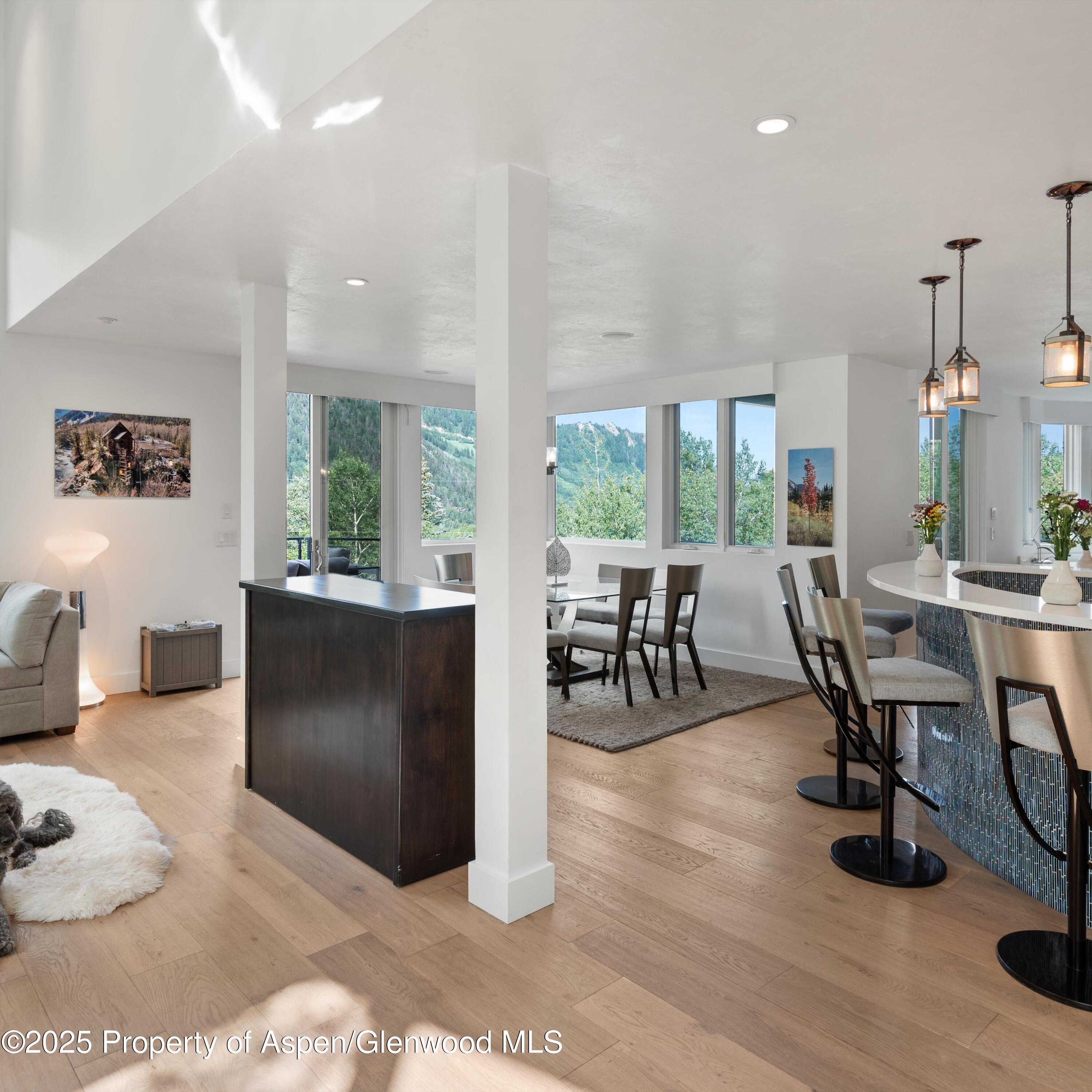 257 Mountain Laurel Drive Aspen CO 81611