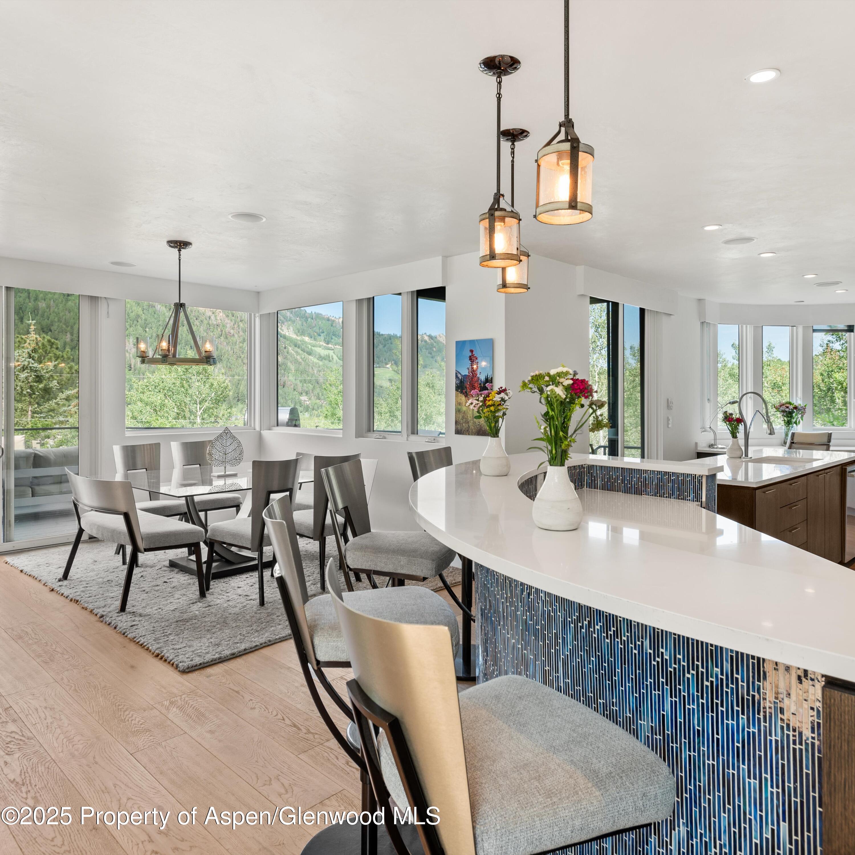 257 Mountain Laurel Drive Aspen CO 81611