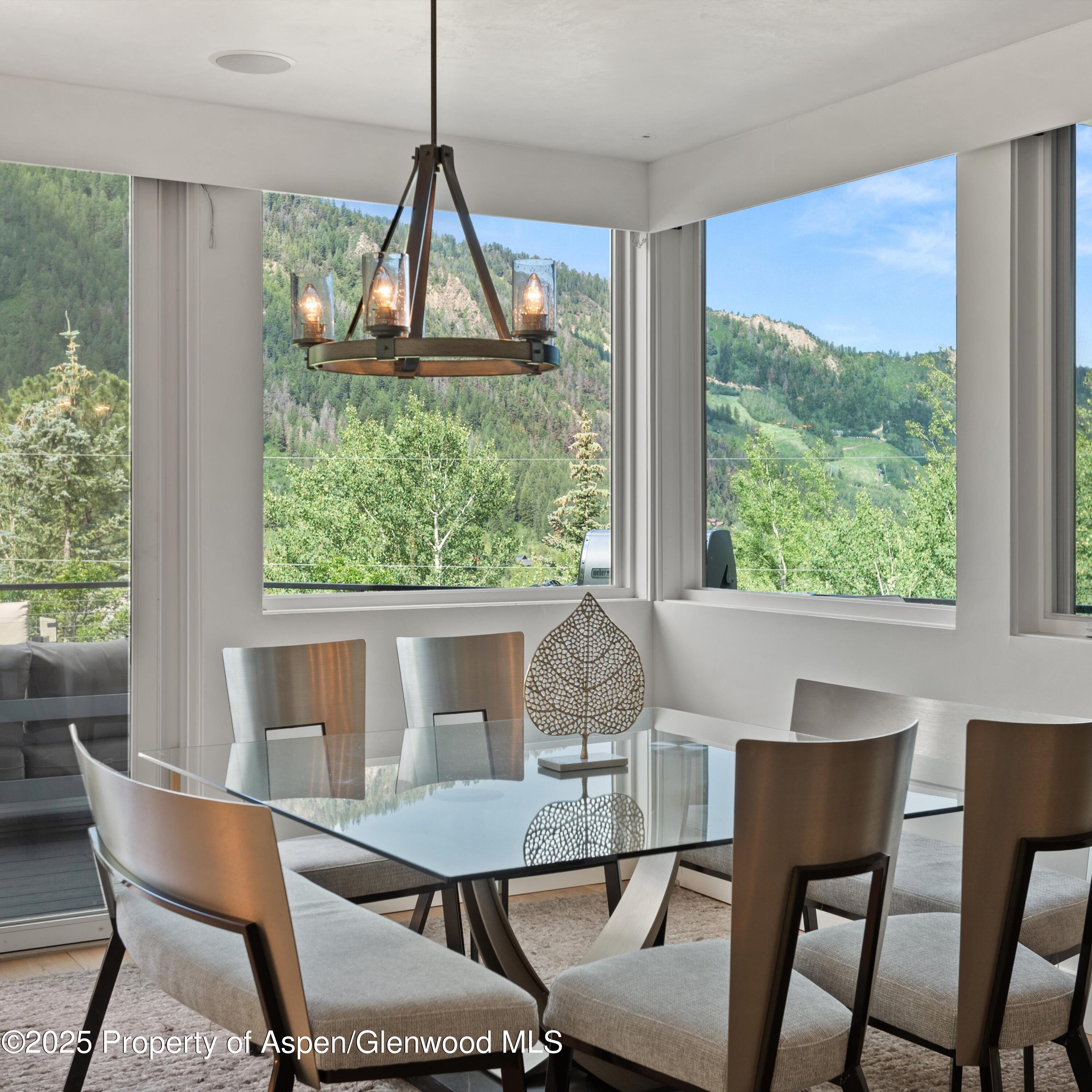 257 Mountain Laurel Drive Aspen CO 81611