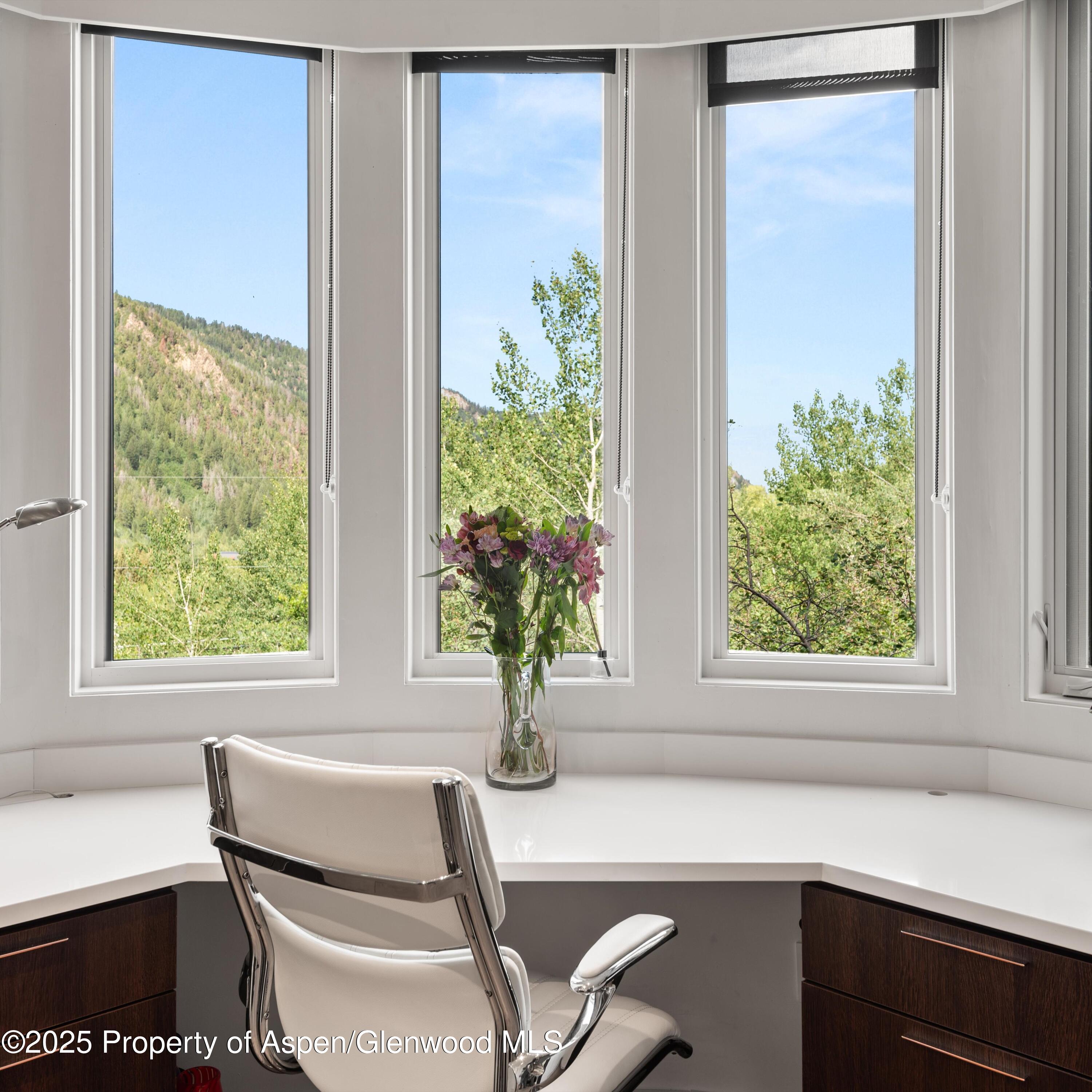 257 Mountain Laurel Drive Aspen CO 81611