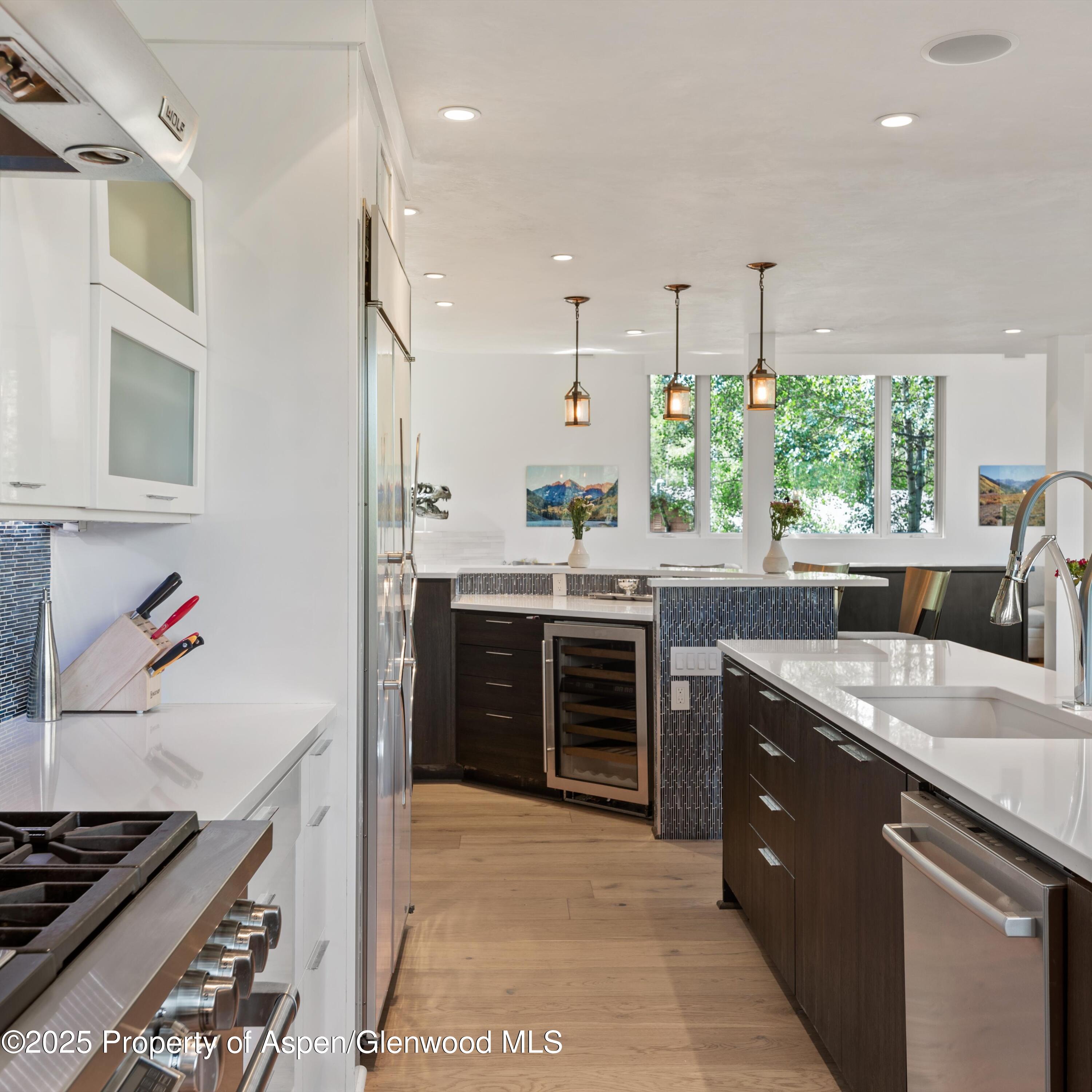 257 Mountain Laurel Drive Aspen CO 81611