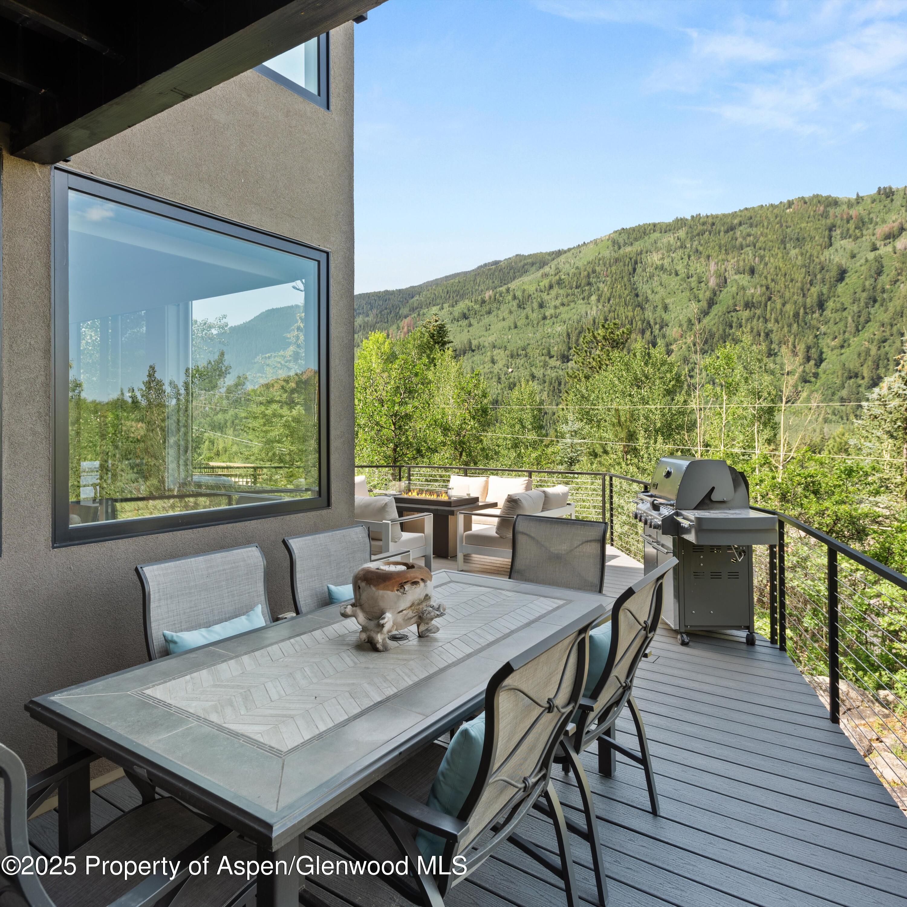 257 Mountain Laurel Drive Aspen CO 81611