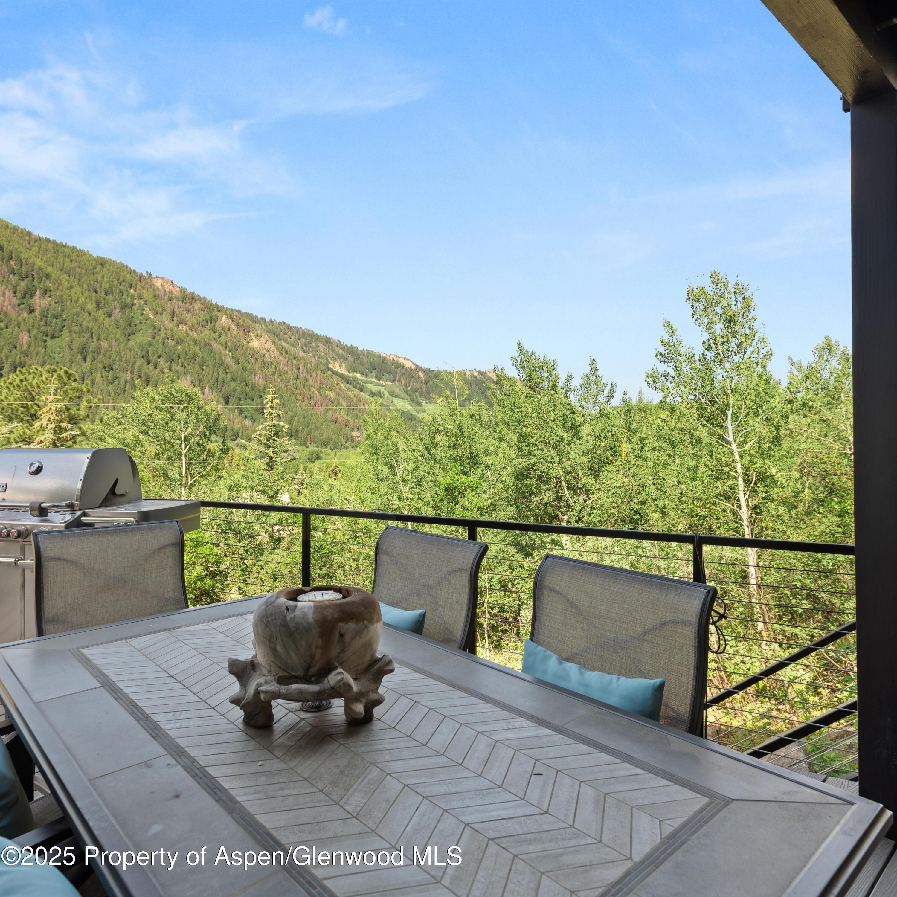 257 Mountain Laurel Drive Aspen CO 81611