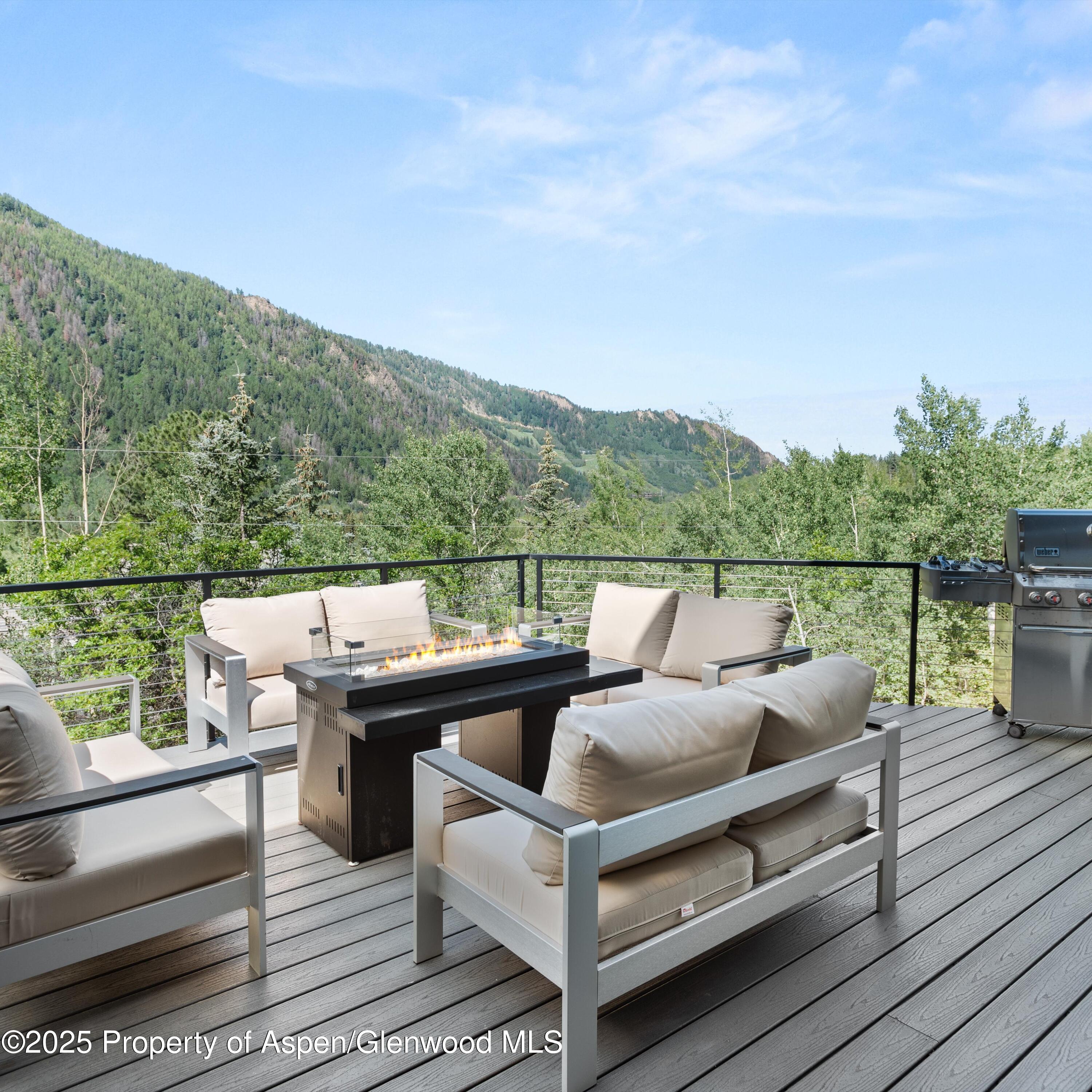 257 Mountain Laurel Drive Aspen CO 81611