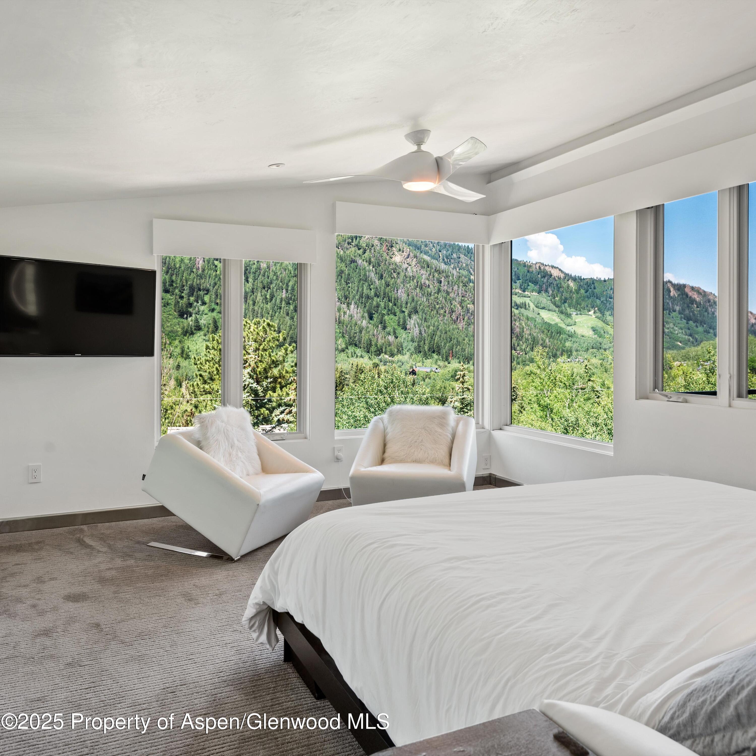 257 Mountain Laurel Drive Aspen CO 81611