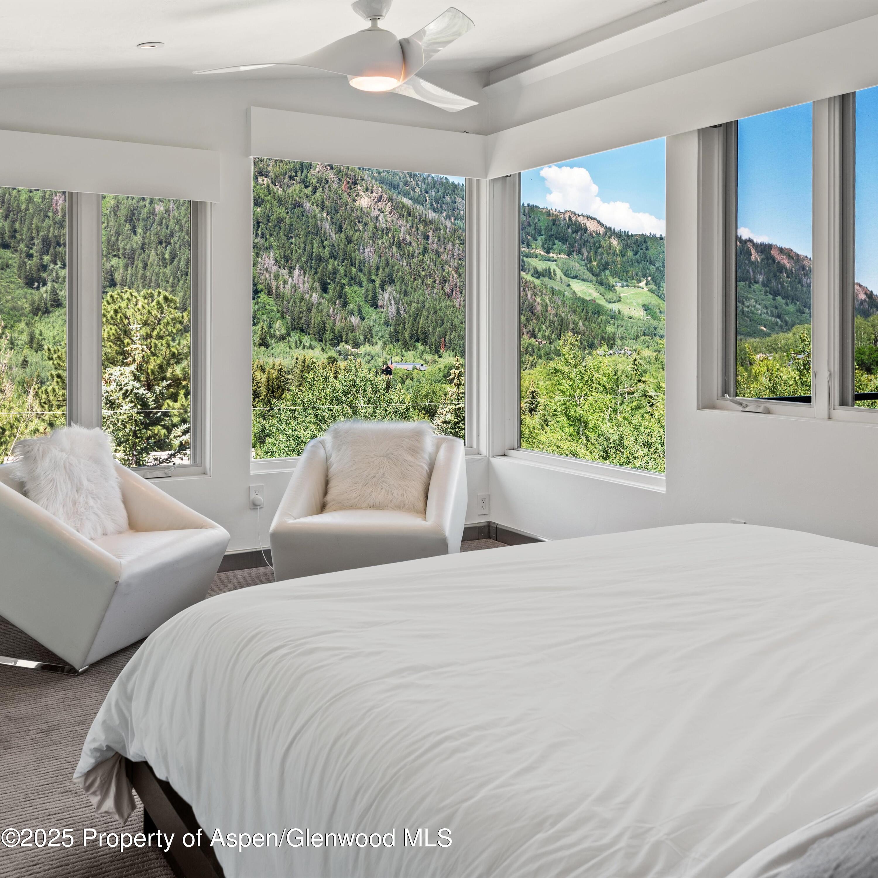 257 Mountain Laurel Drive Aspen CO 81611