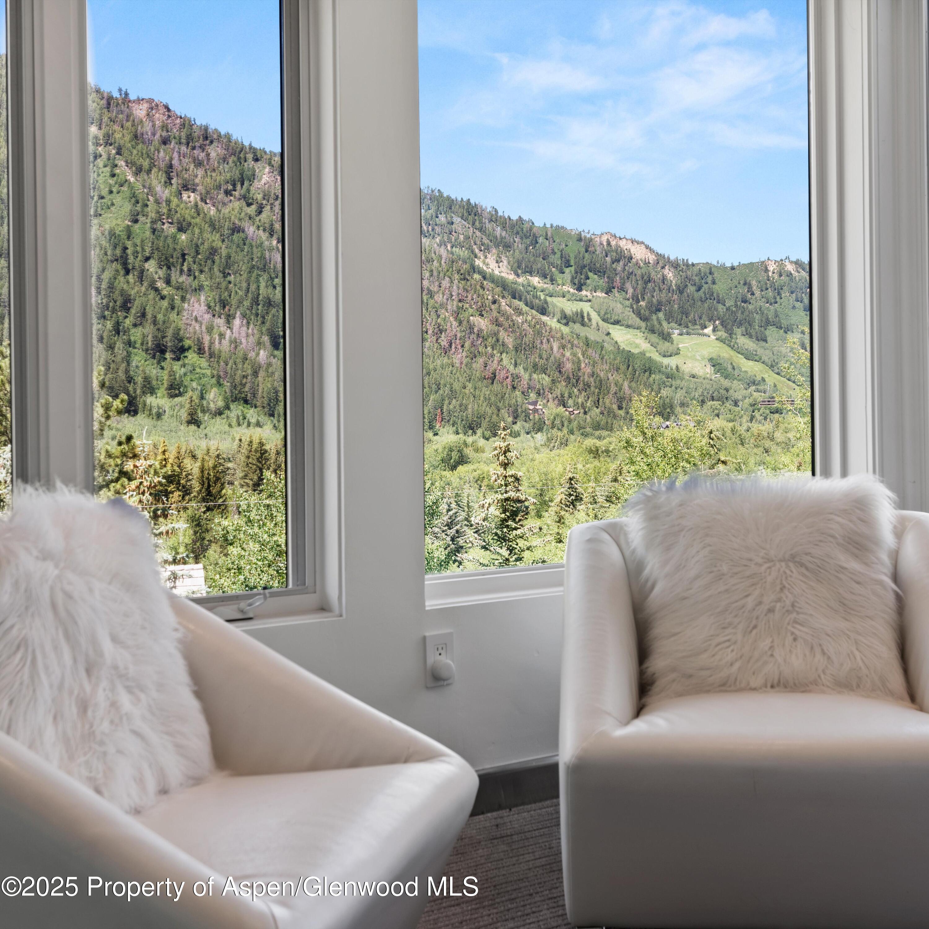 257 Mountain Laurel Drive Aspen CO 81611