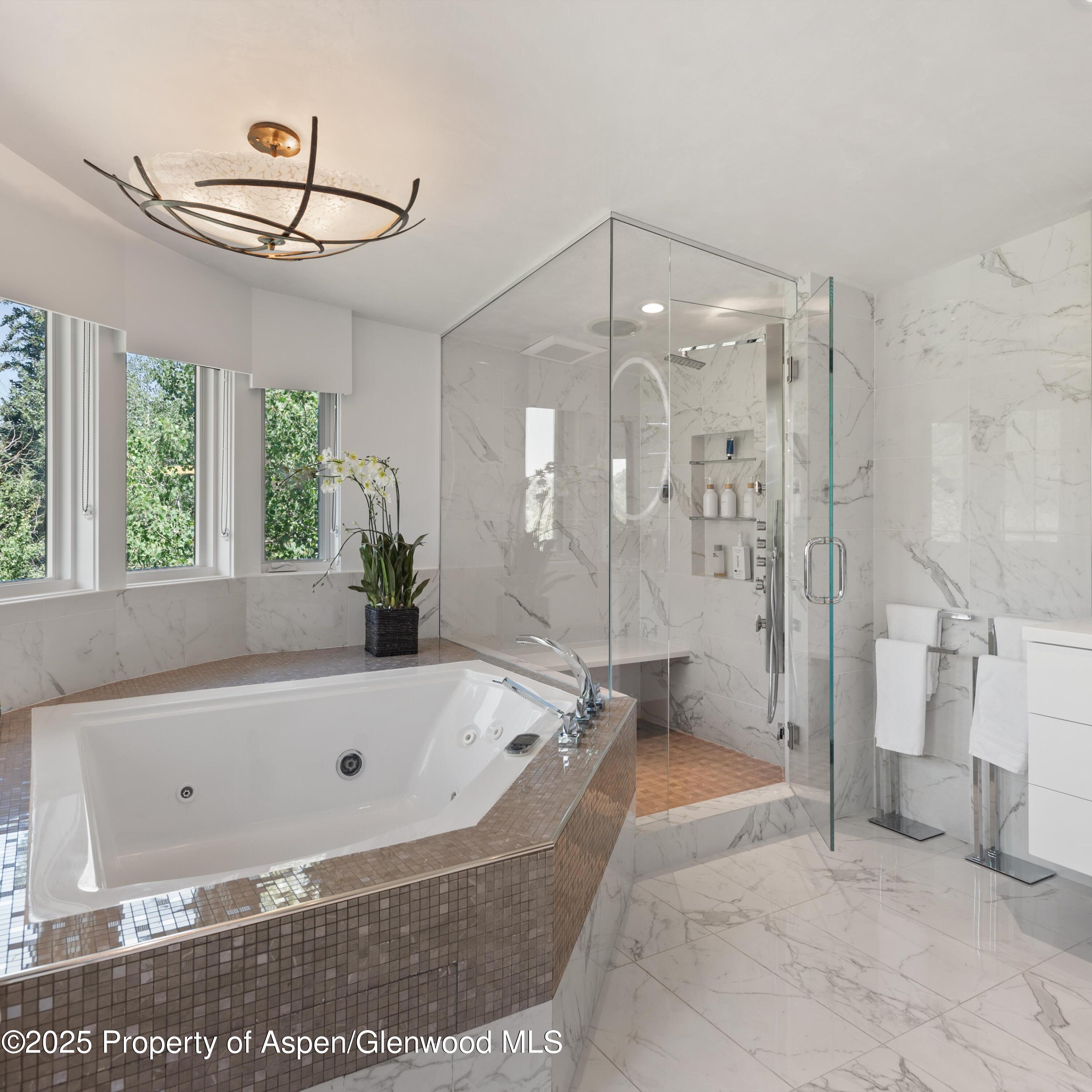 257 Mountain Laurel Drive Aspen CO 81611