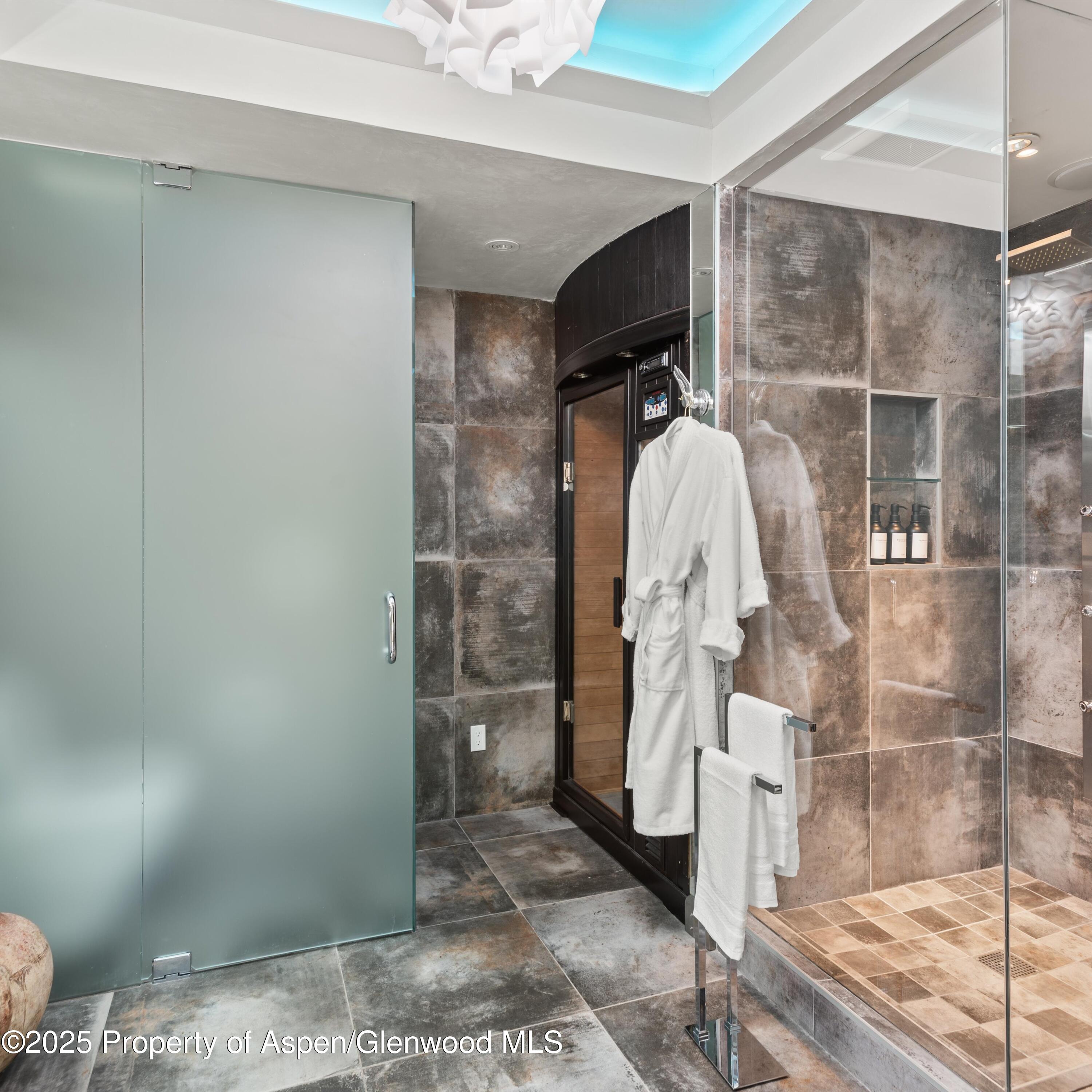 257 Mountain Laurel Drive Aspen CO 81611