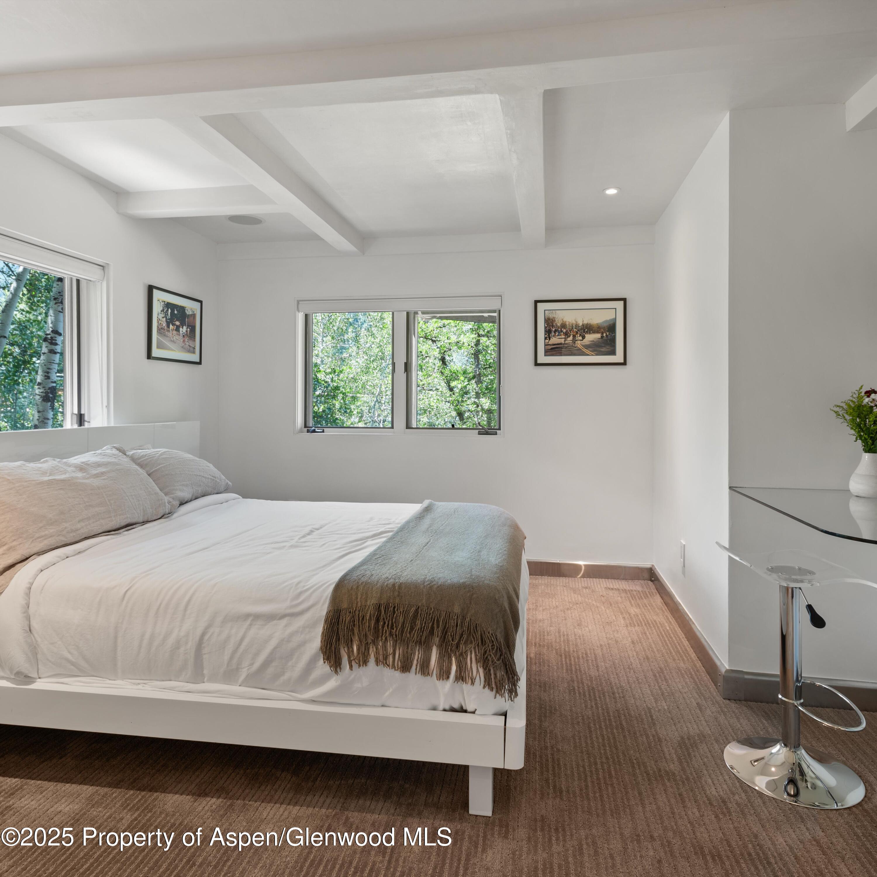 257 Mountain Laurel Drive Aspen CO 81611