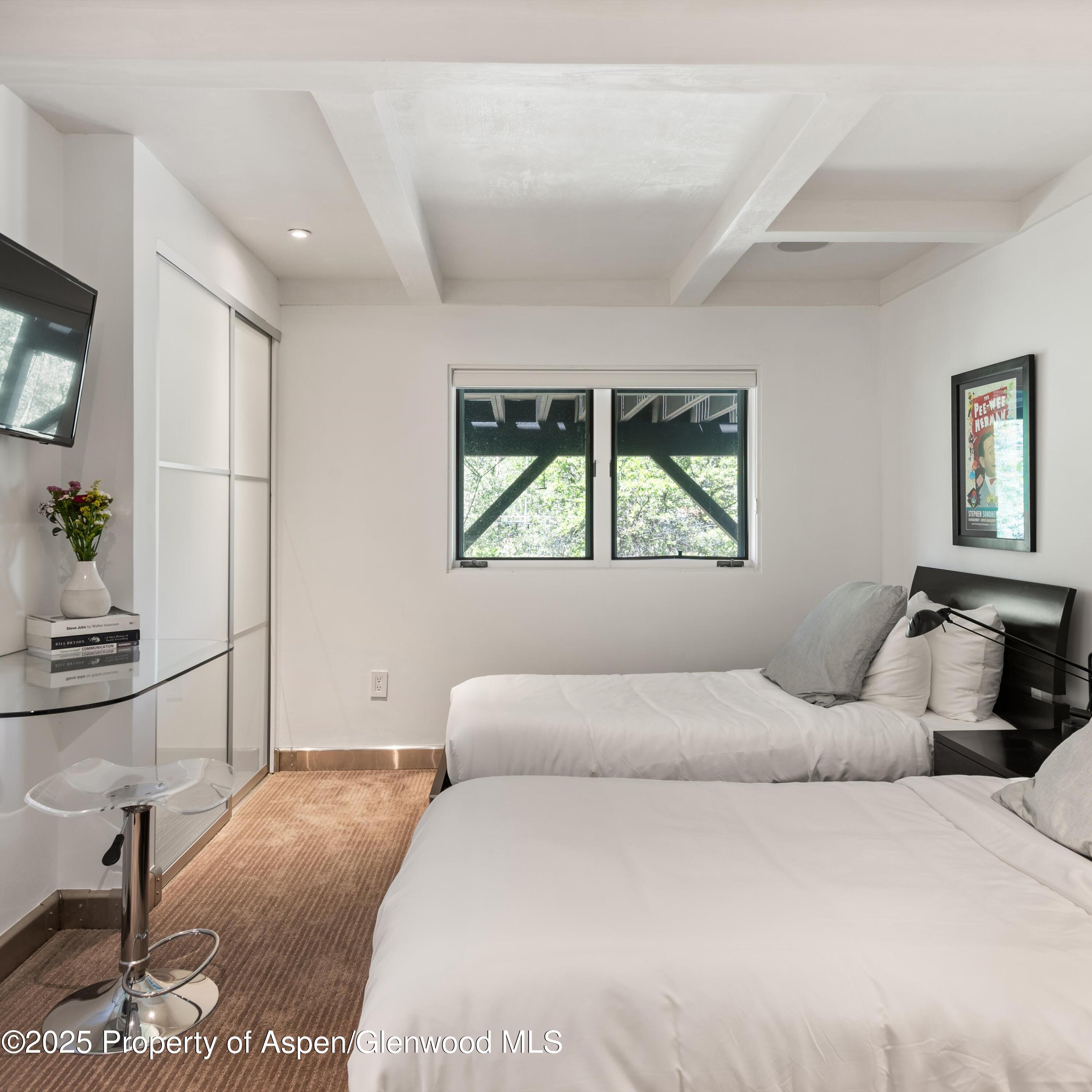 257 Mountain Laurel Drive Aspen CO 81611