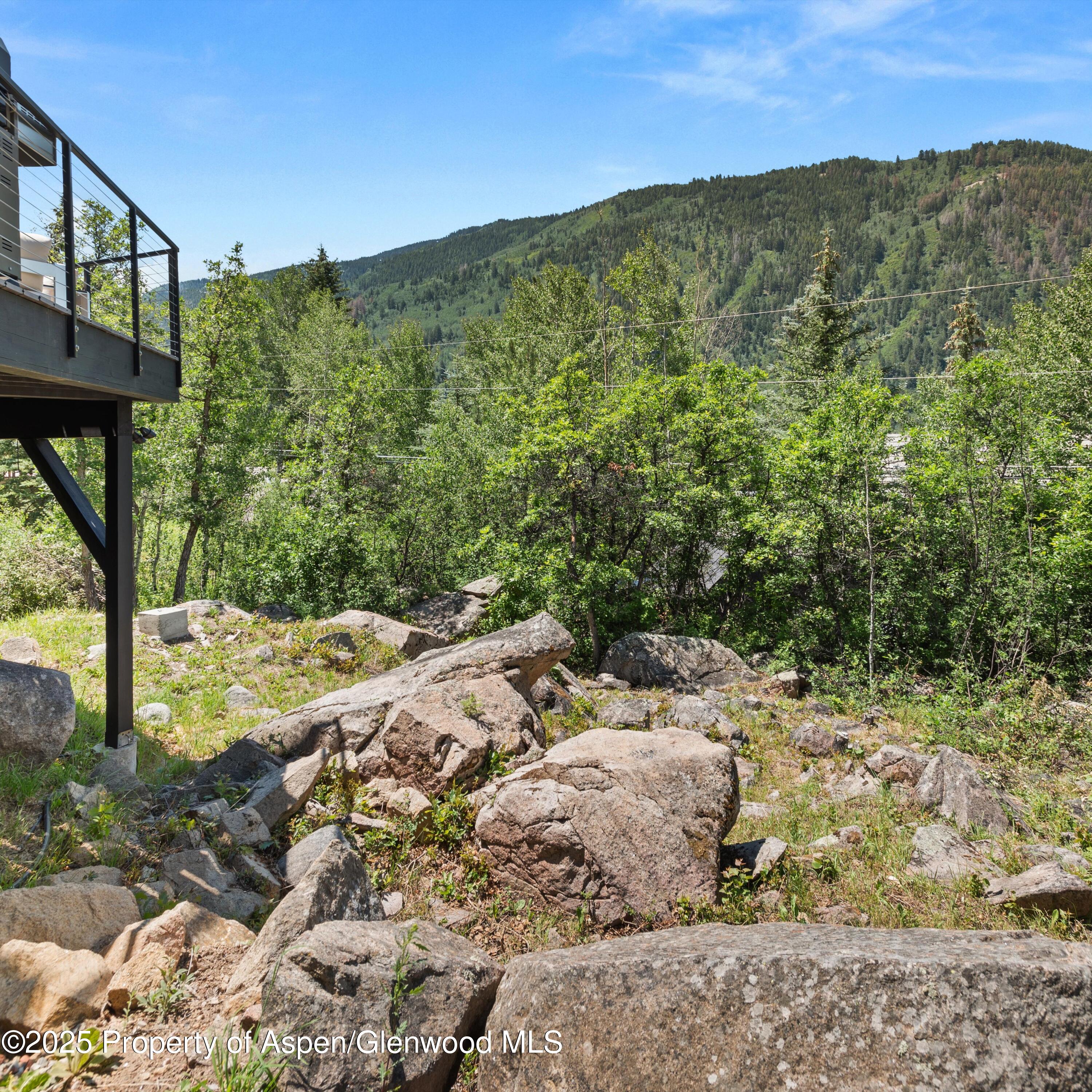 257 Mountain Laurel Drive Aspen CO 81611