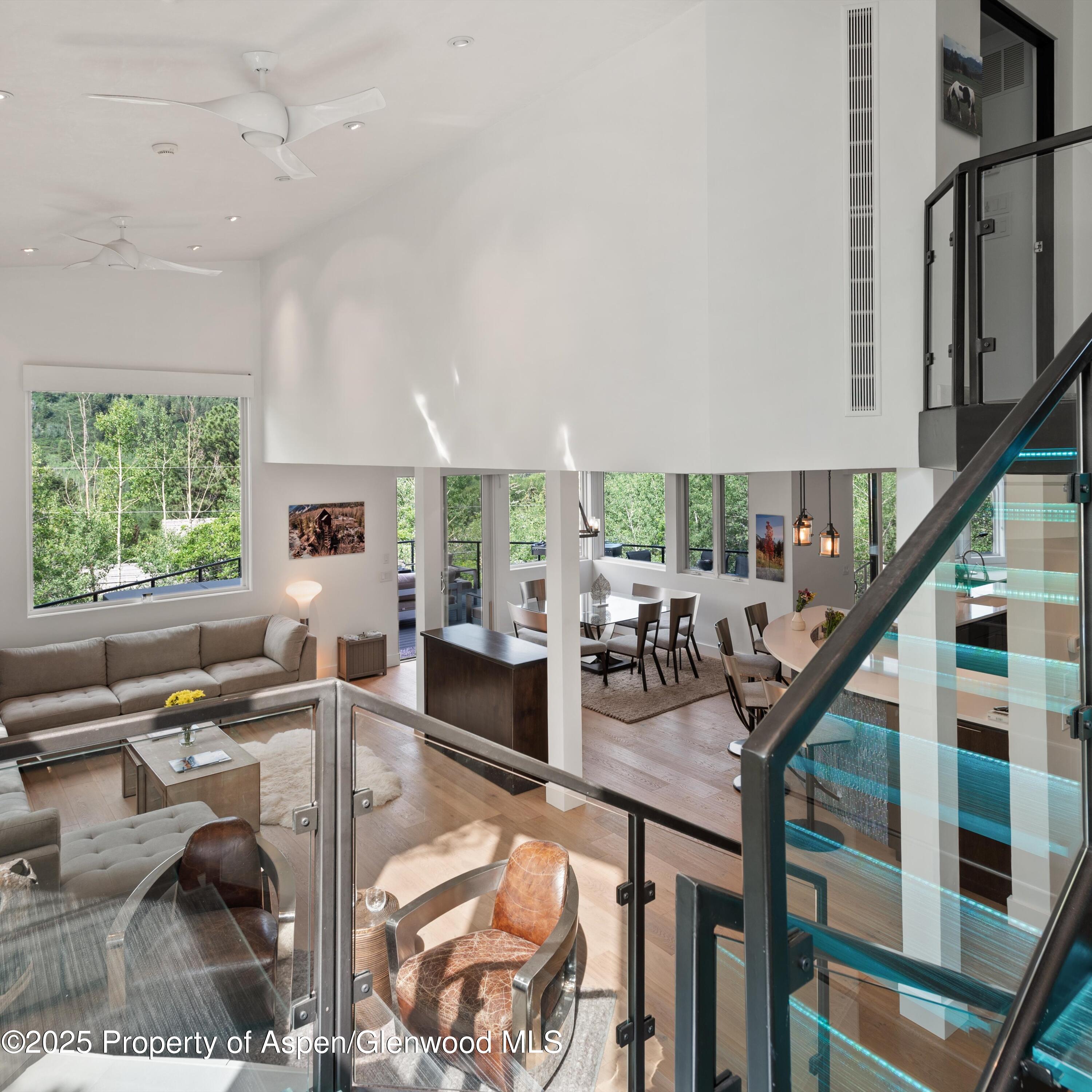 257 Mountain Laurel Drive Aspen CO 81611