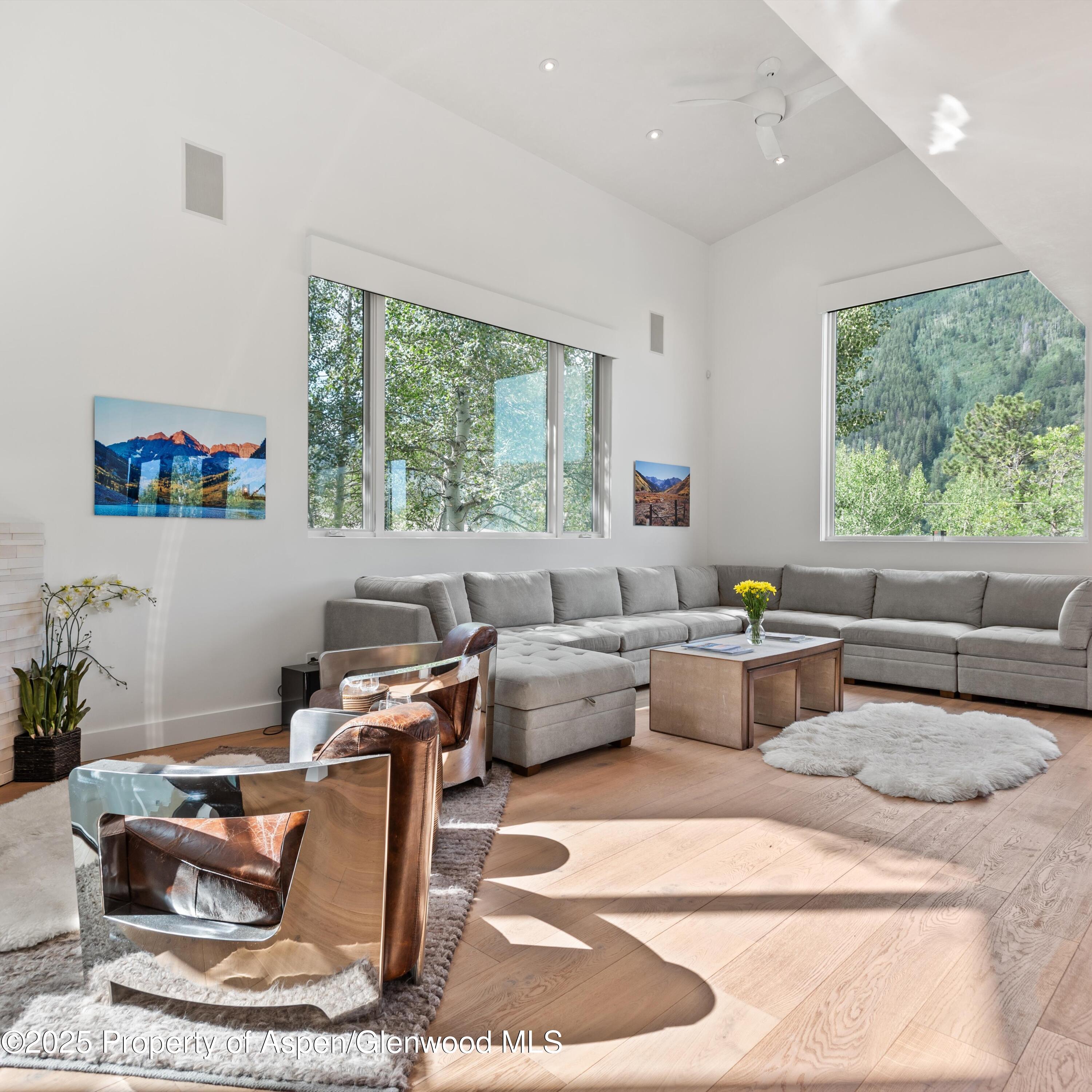 257 Mountain Laurel Drive Aspen CO 81611