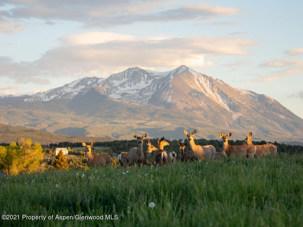 1900 County Road 103 Carbondale CO 81623