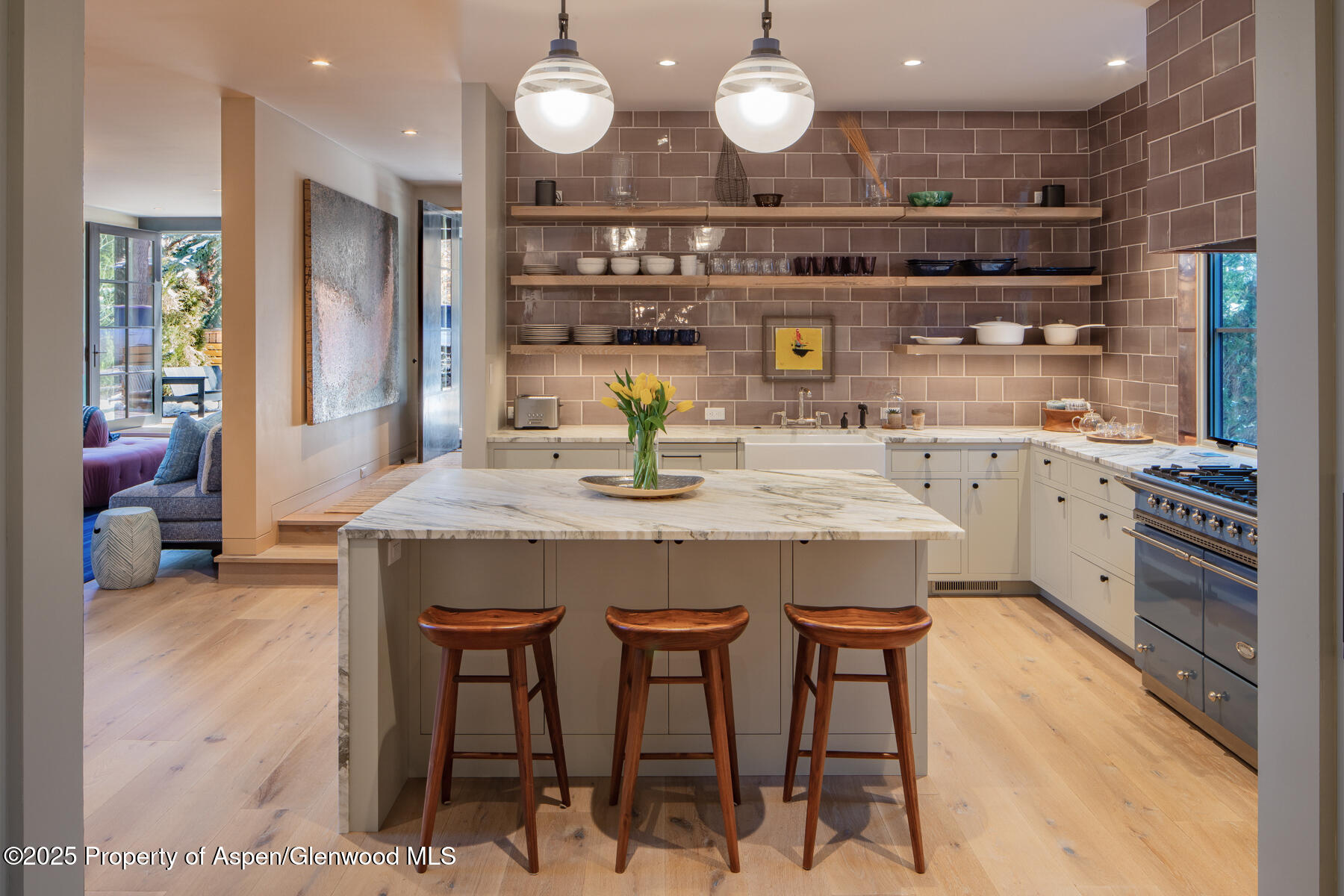 614 W North Street Aspen CO 81611