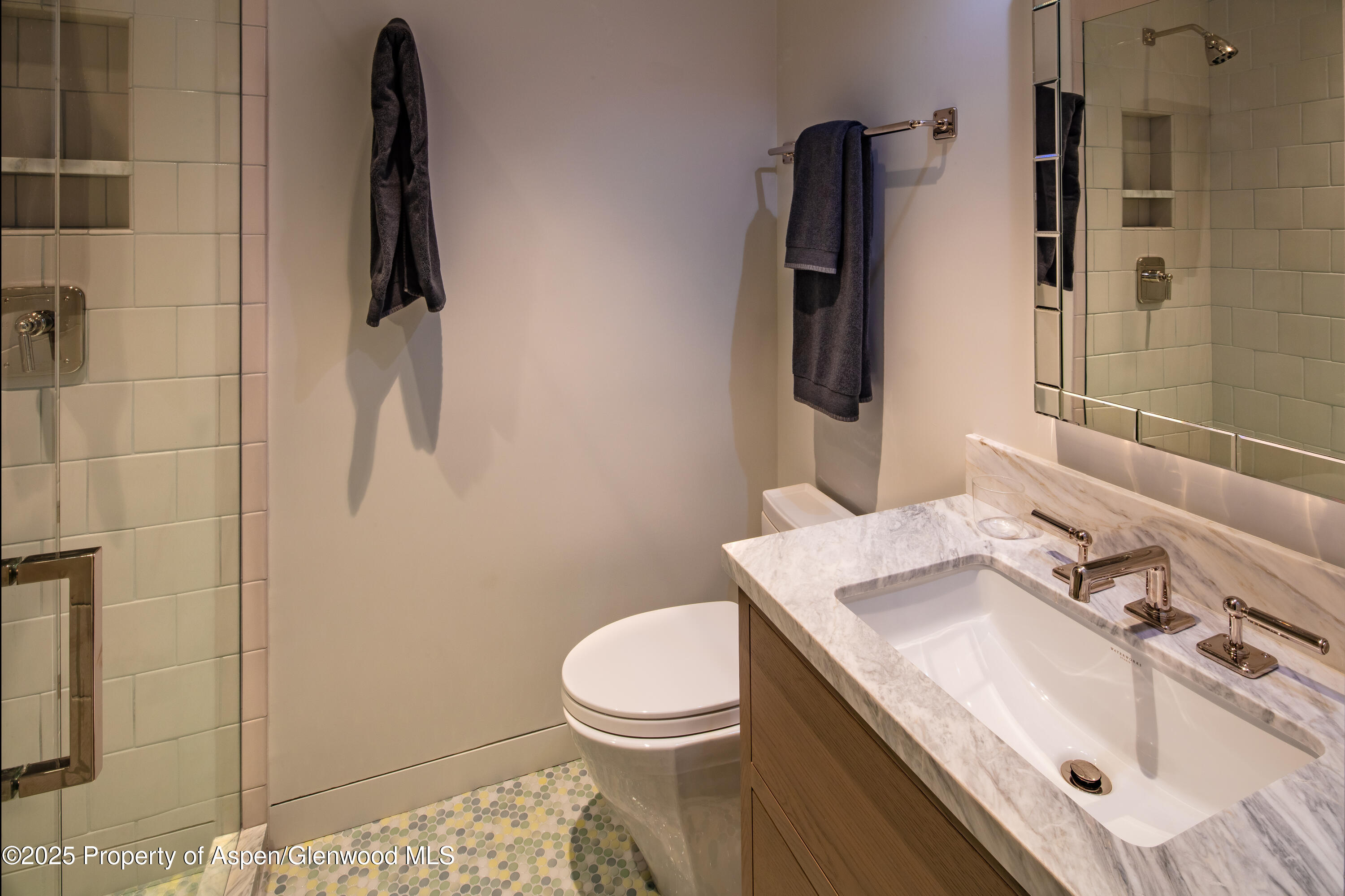 614 W North Street Aspen CO 81611