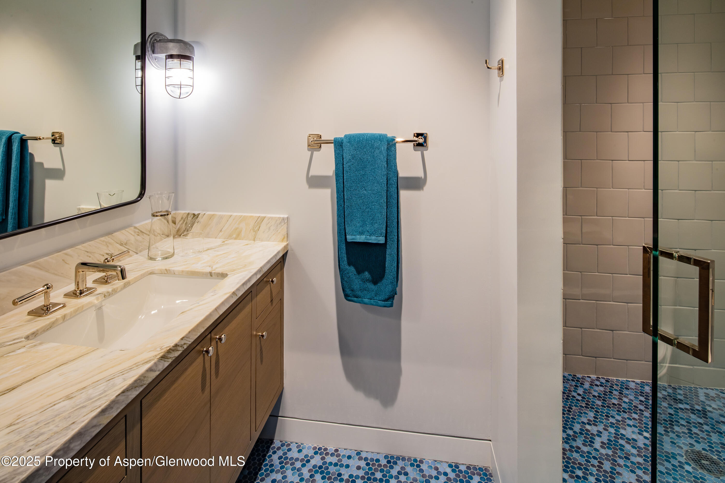 614 W North Street Aspen CO 81611