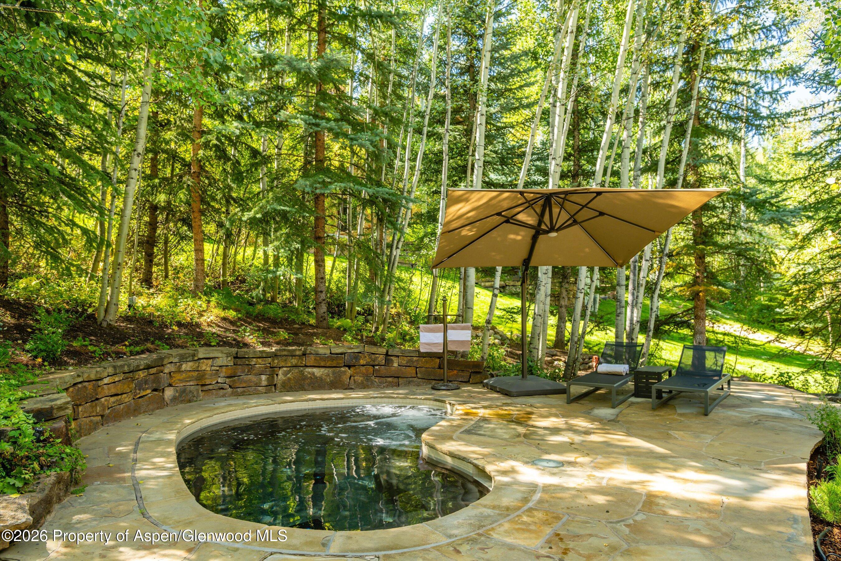 163 Spruce Ridge Lane Snowmass Village CO 81615