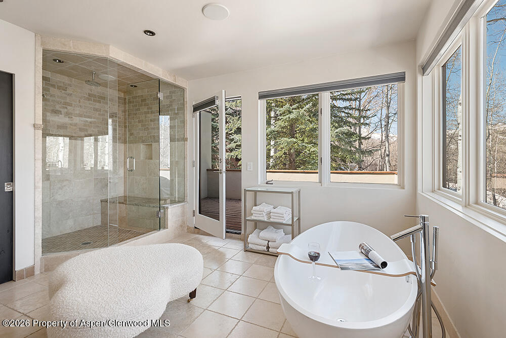 399 Maple Ridge Lane Snowmass Village CO 81615