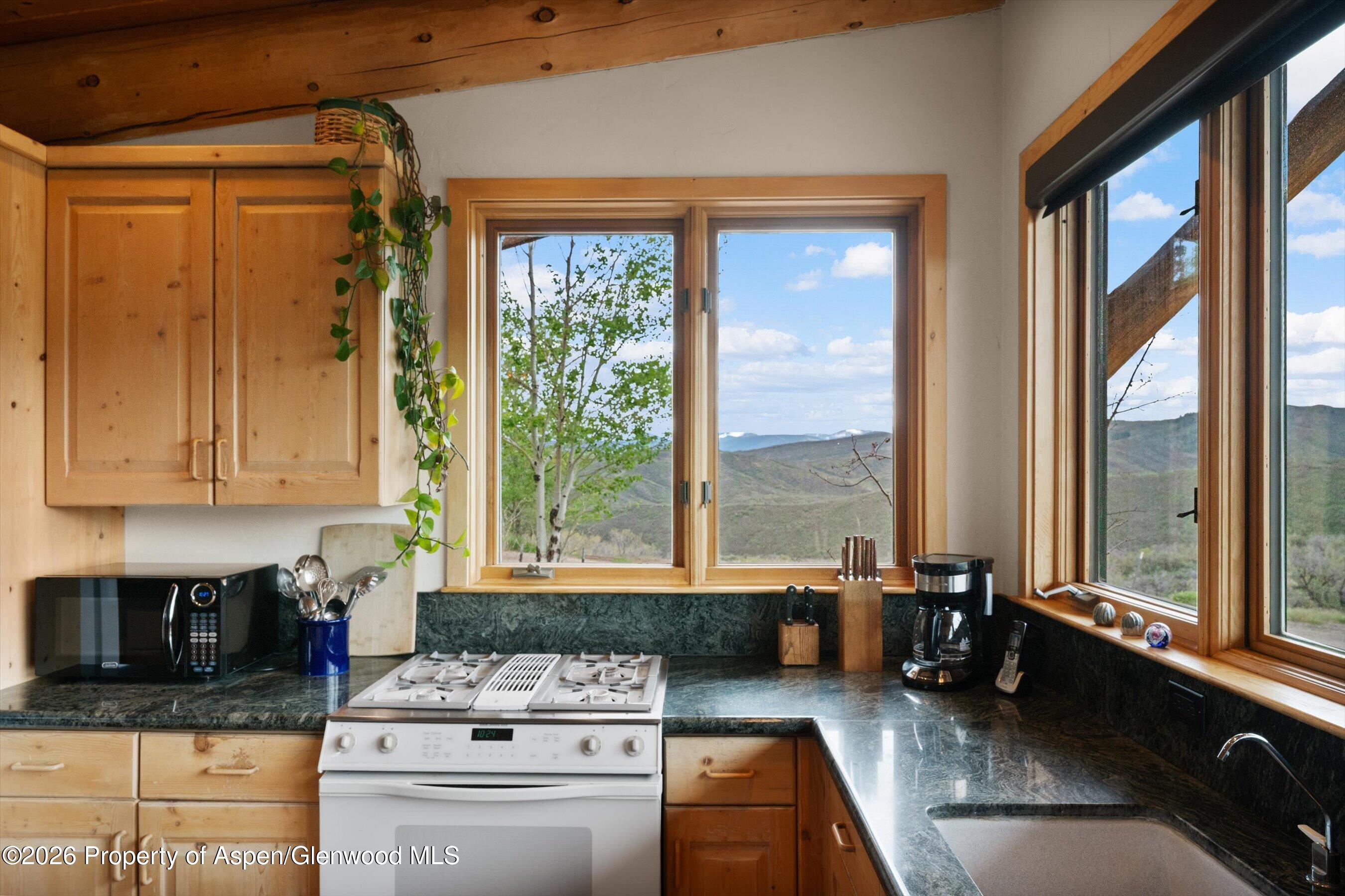 115 Rural Mountain Road Snowmass CO 81654