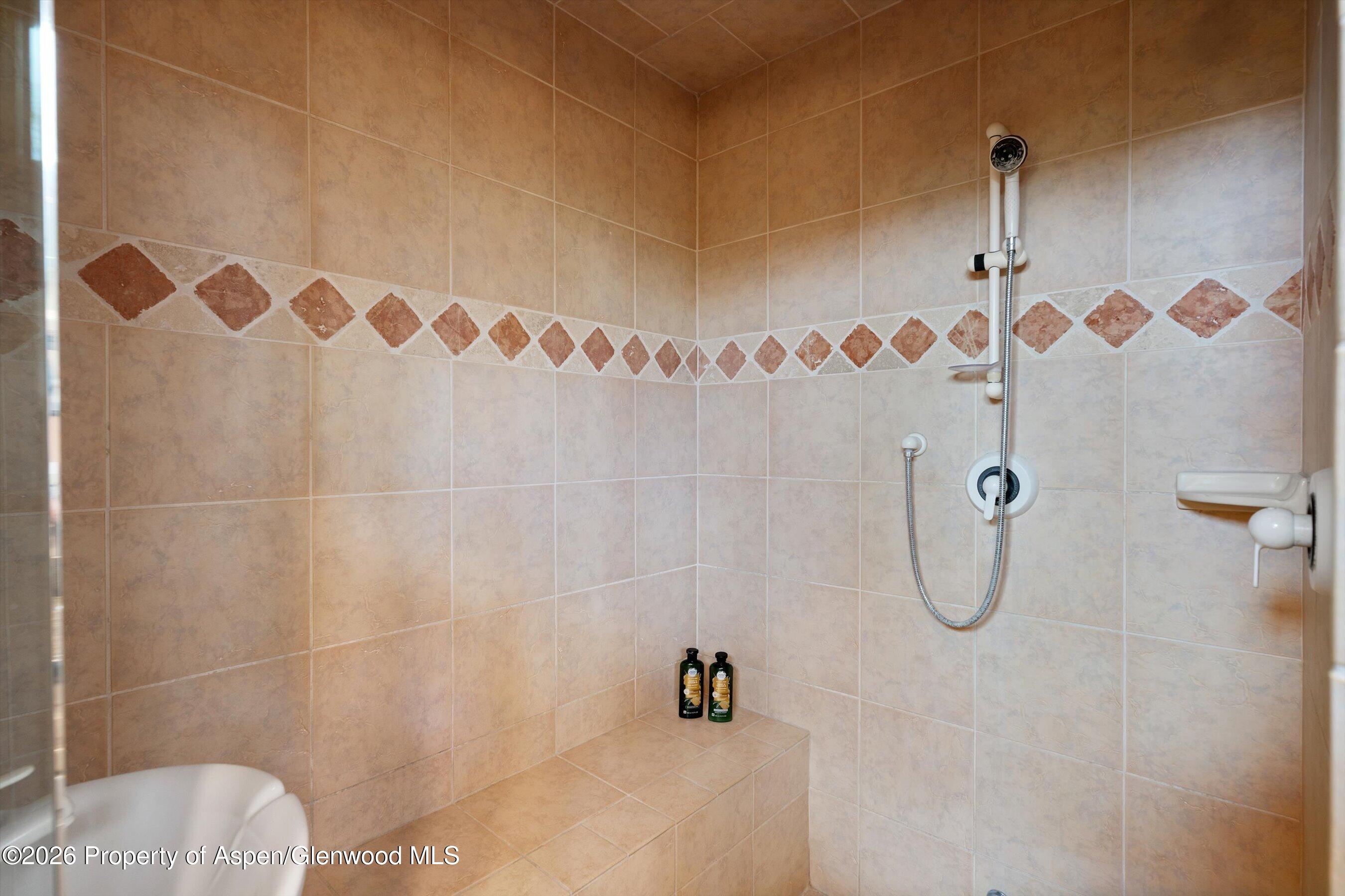115 Rural Mountain Road Snowmass CO 81654
