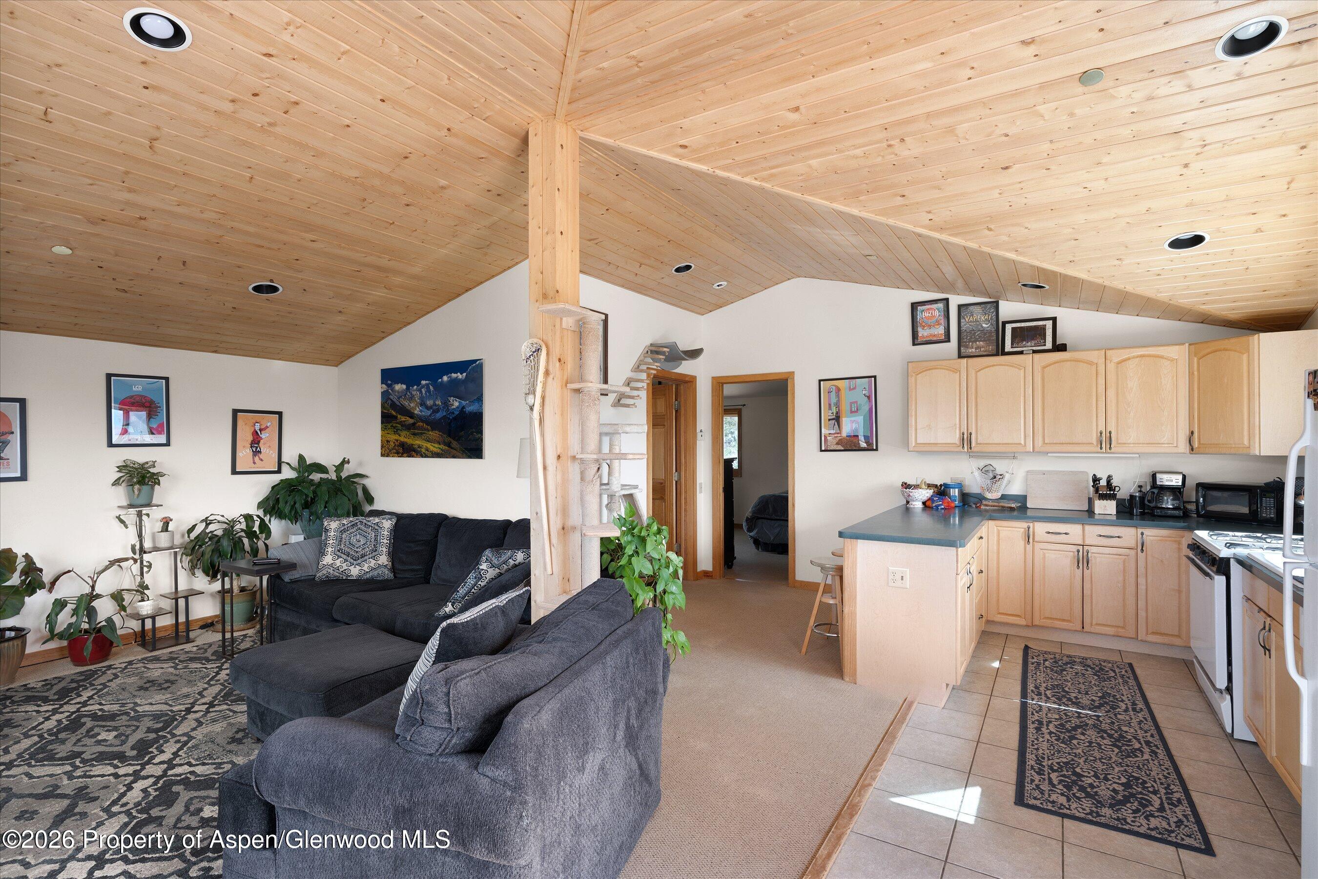 115 Rural Mountain Road Snowmass CO 81654