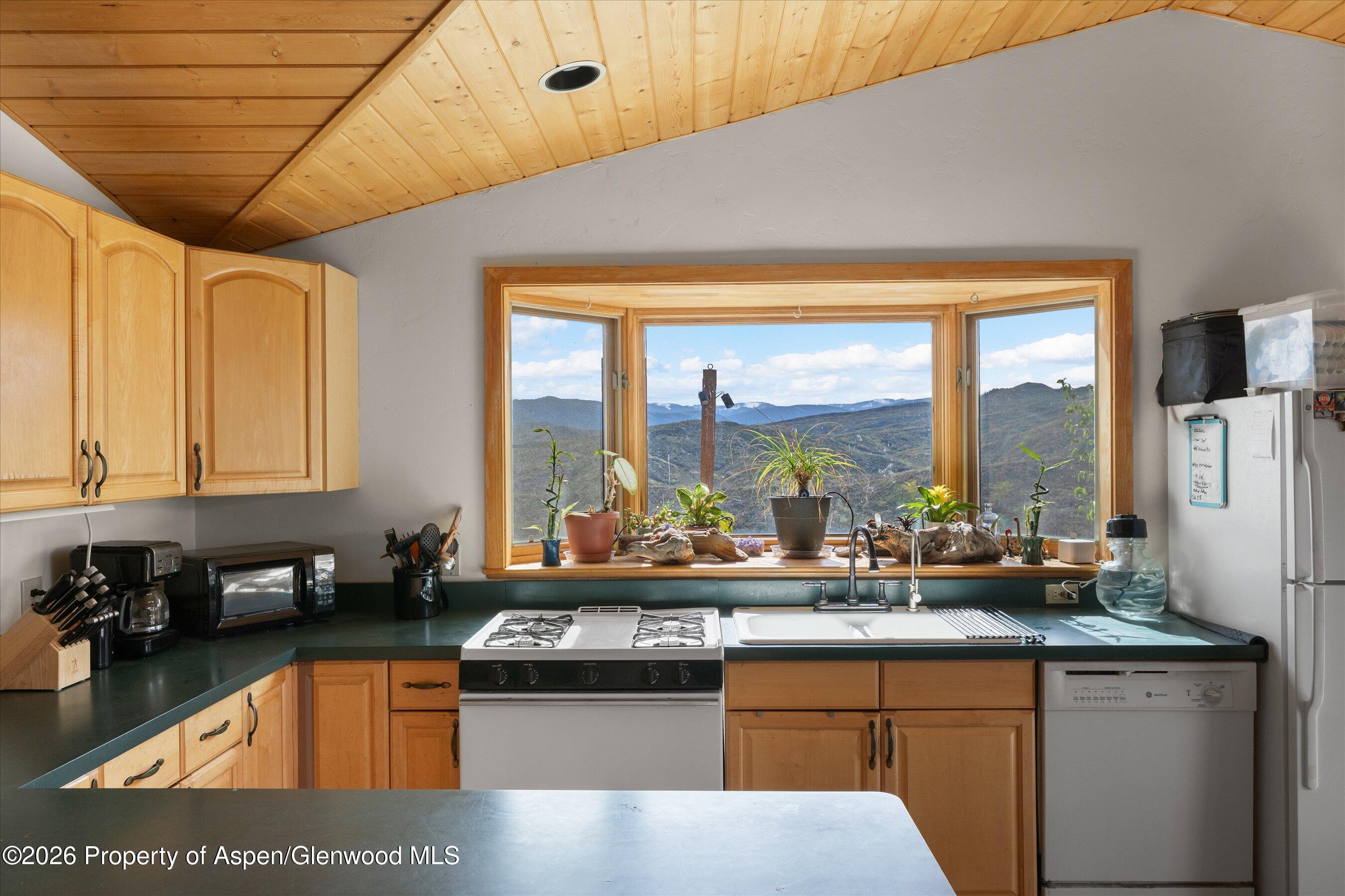 115 Rural Mountain Road Snowmass CO 81654