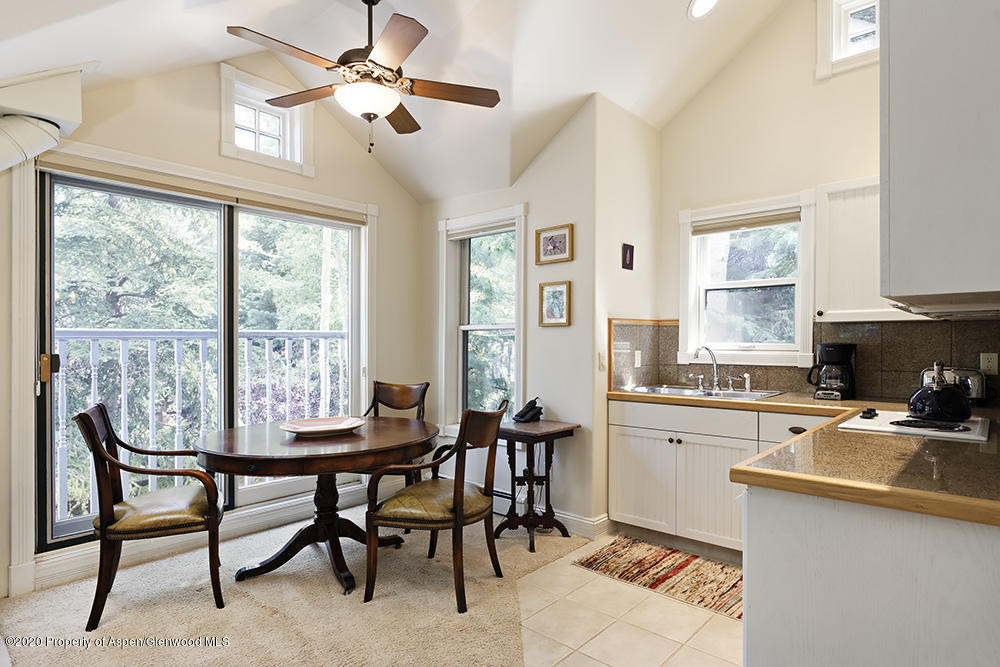 420 W Francis Street Aspen CO 81611