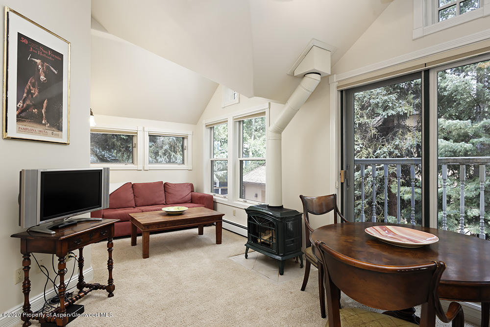 420 W Francis Street Aspen CO 81611