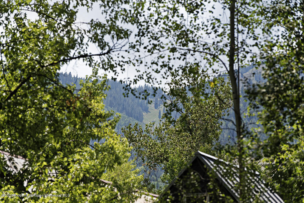 420 W Francis Street Aspen CO 81611