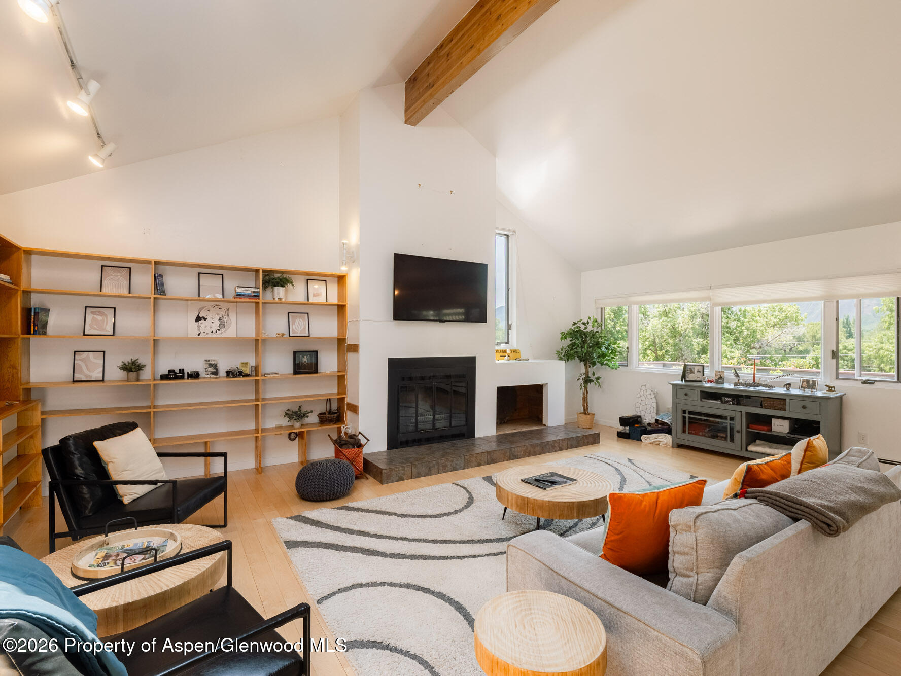216 E Homestead Drive Basalt CO 81621