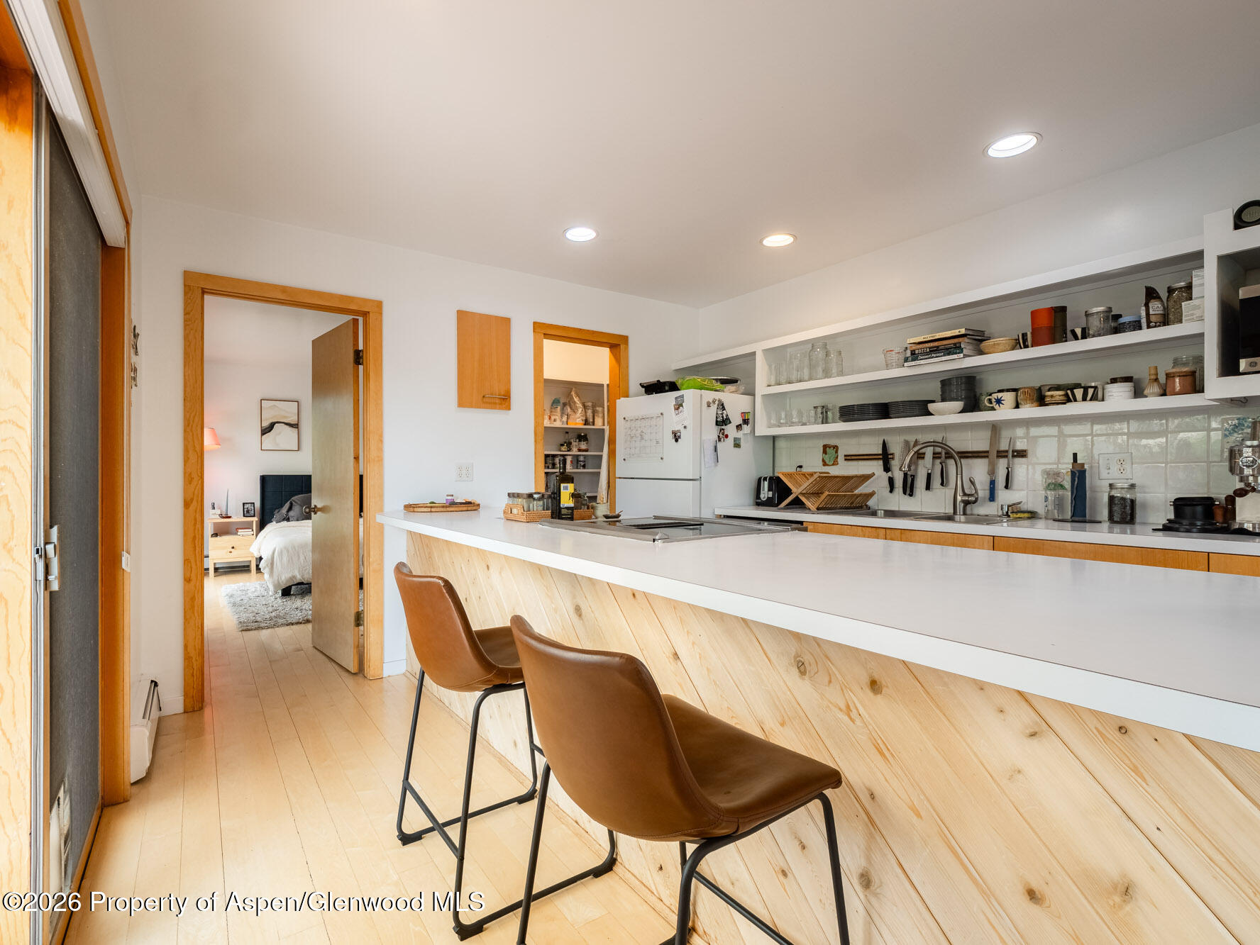 216 E Homestead Drive Basalt CO 81621