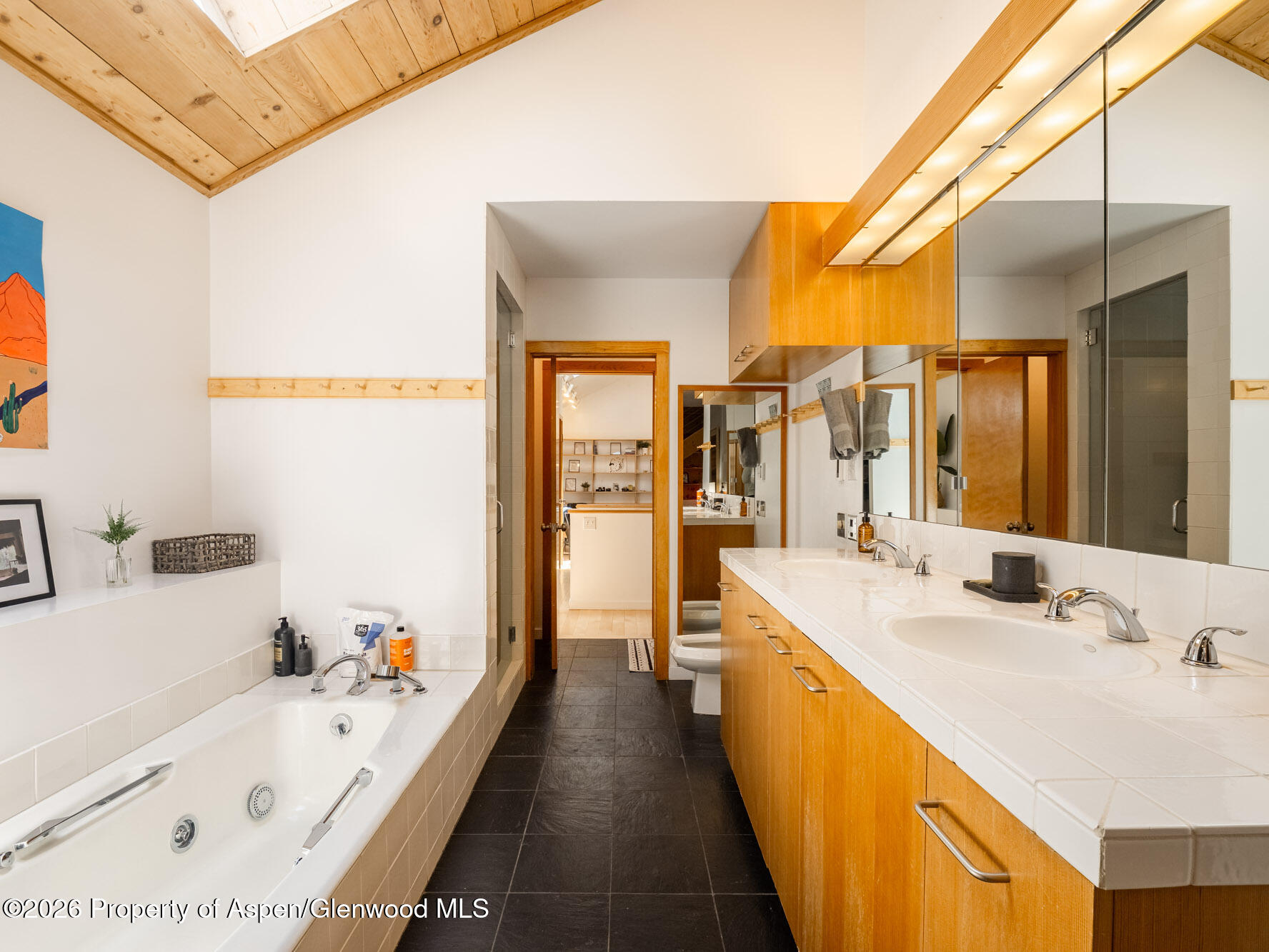 216 E Homestead Drive Basalt CO 81621