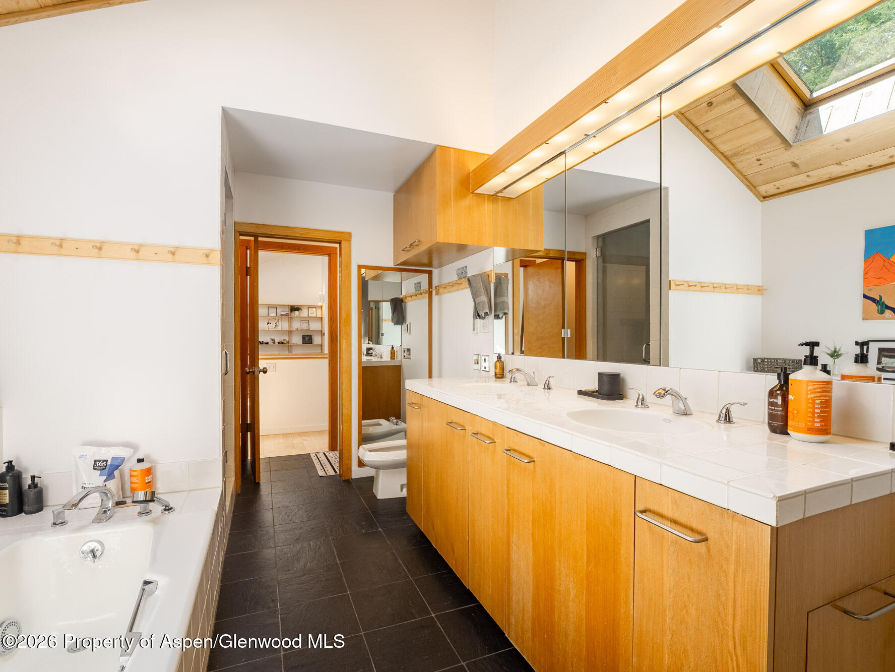 216 E Homestead Drive Basalt CO 81621
