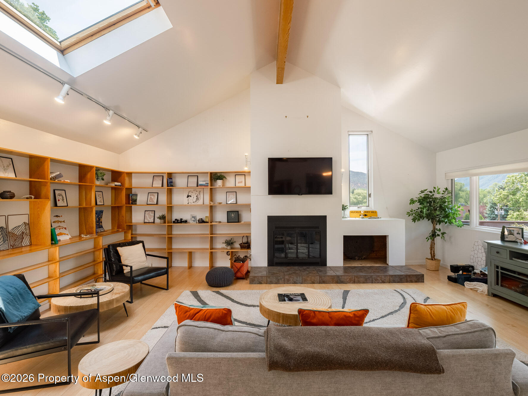 216 E Homestead Drive Basalt CO 81621