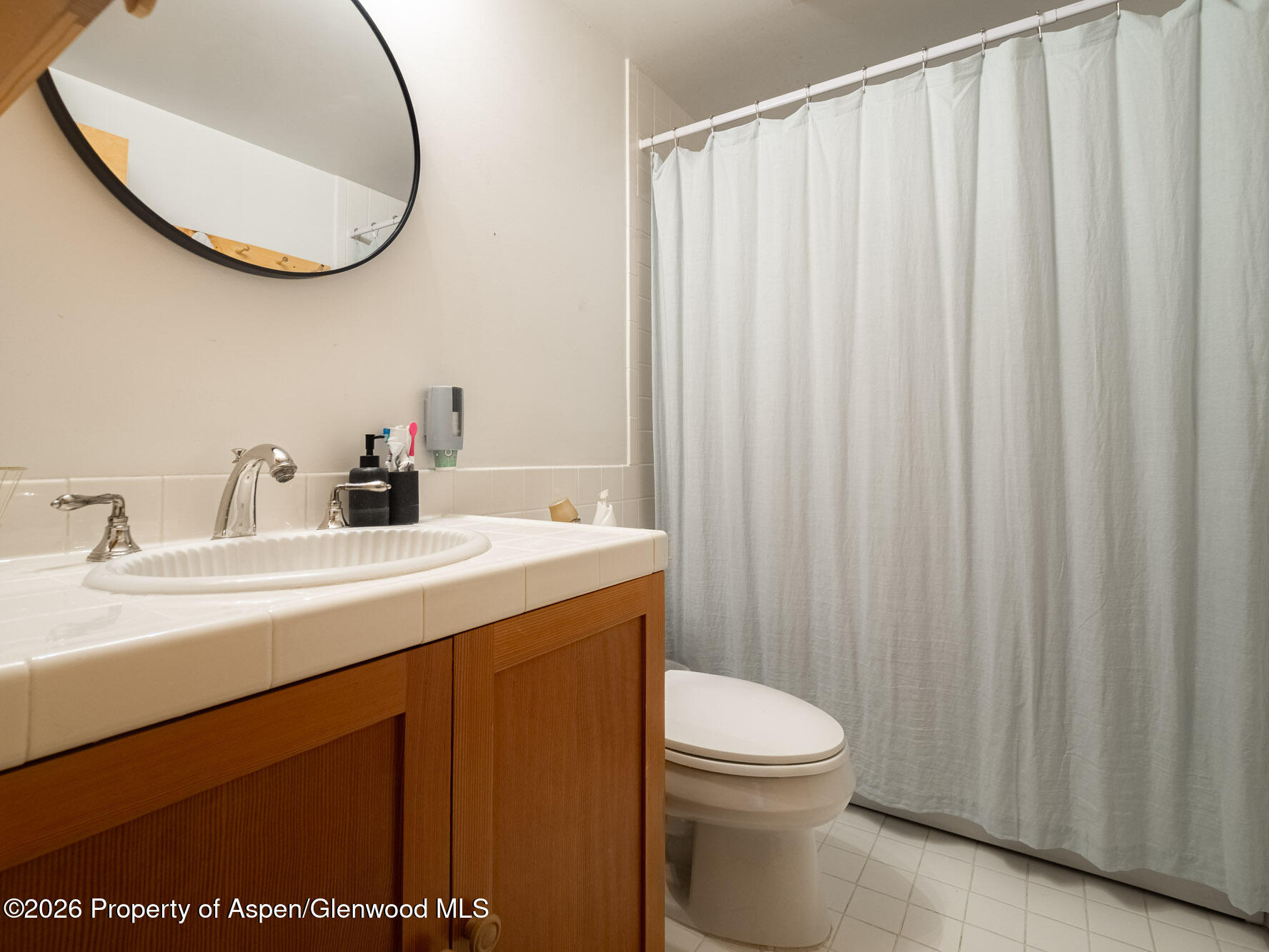 216 E Homestead Drive Basalt CO 81621