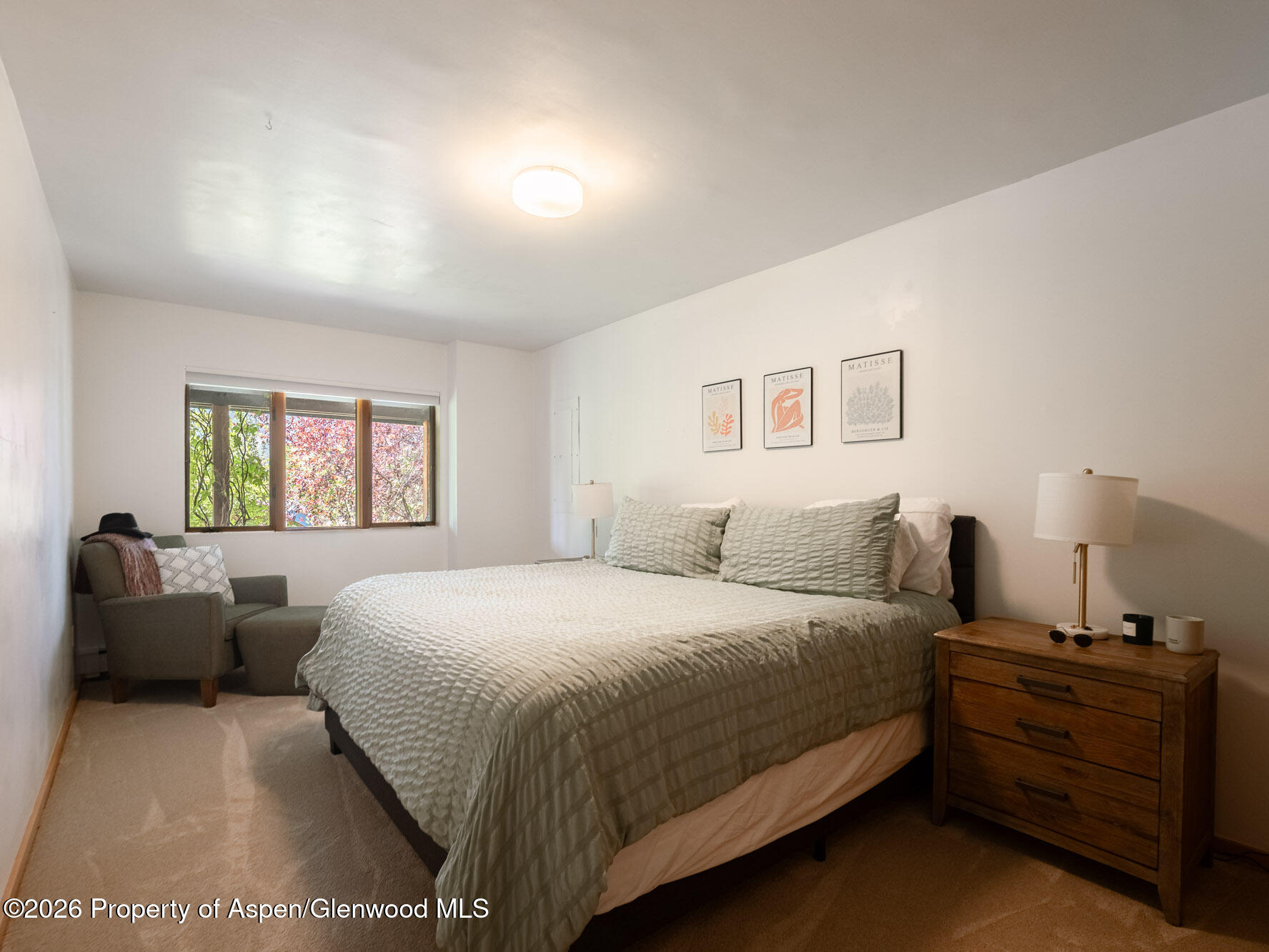 216 E Homestead Drive Basalt CO 81621