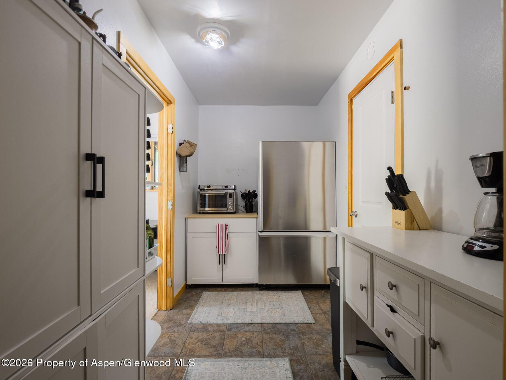 216 E Homestead Drive Basalt CO 81621