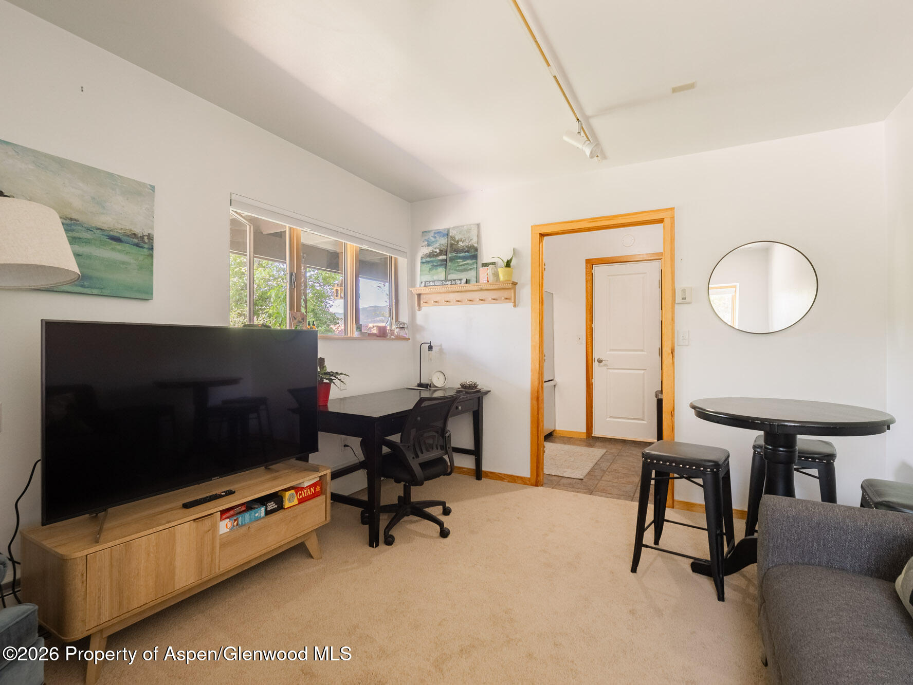 216 E Homestead Drive Basalt CO 81621
