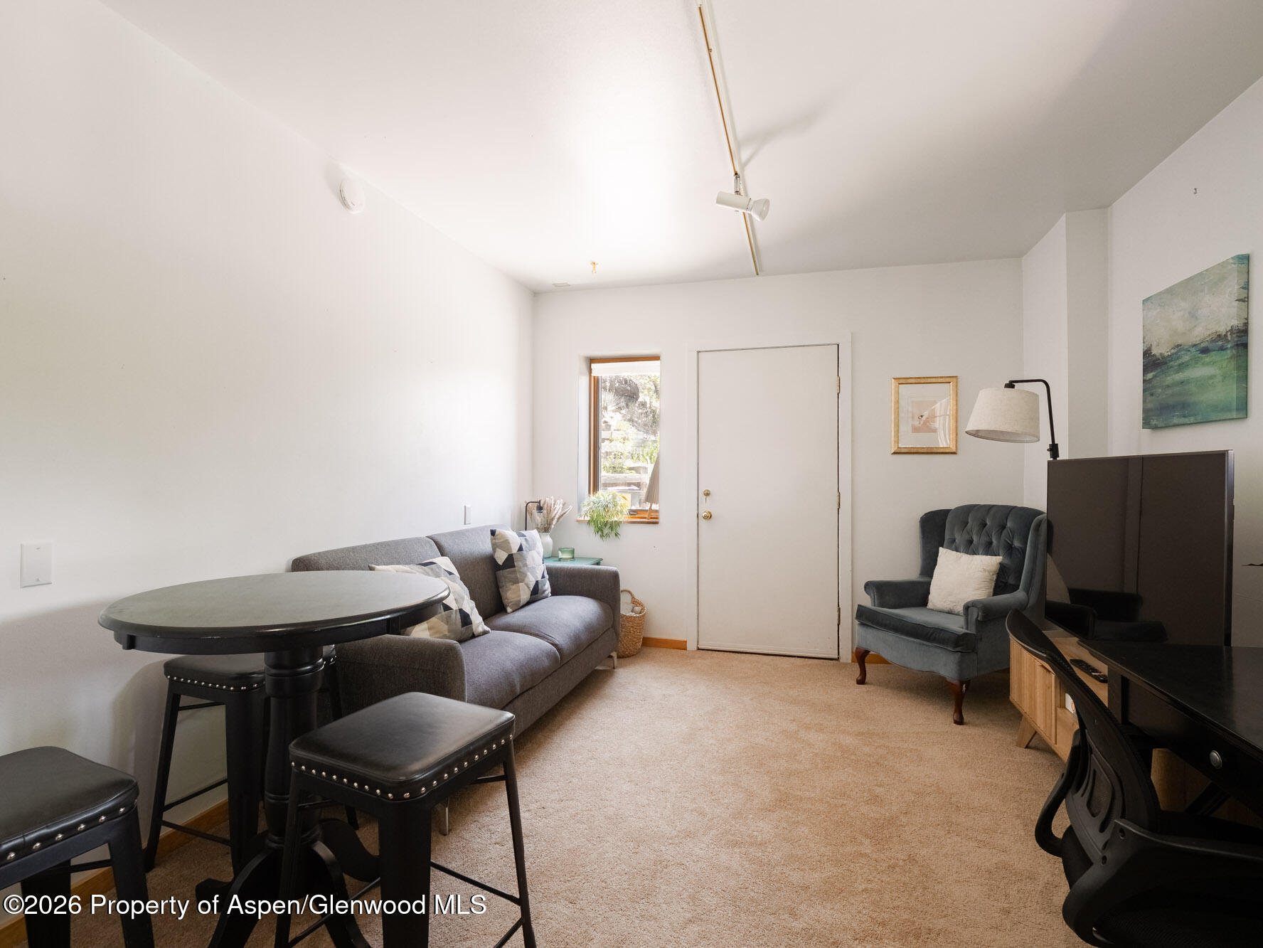 216 E Homestead Drive Basalt CO 81621