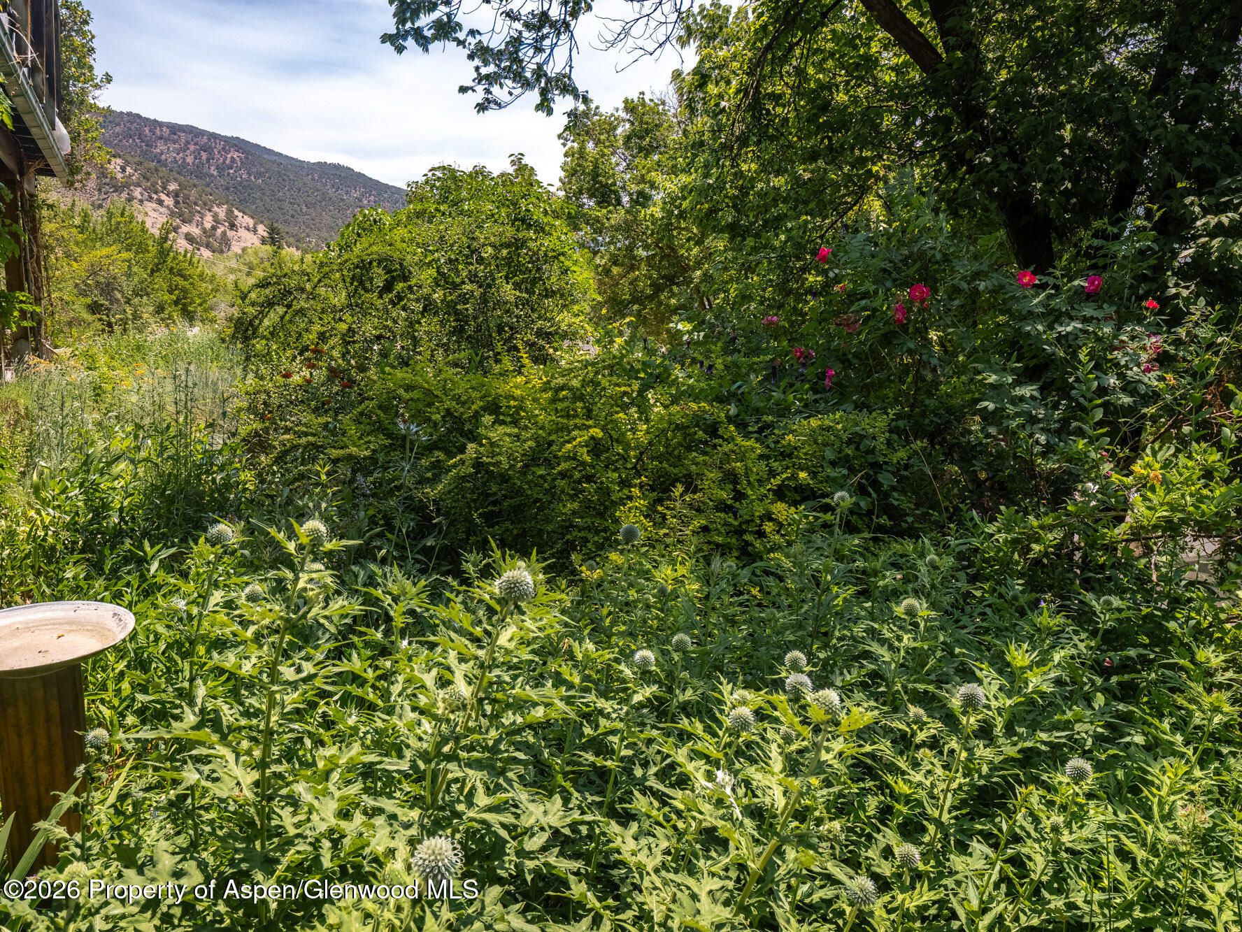 216 E Homestead Drive Basalt CO 81621