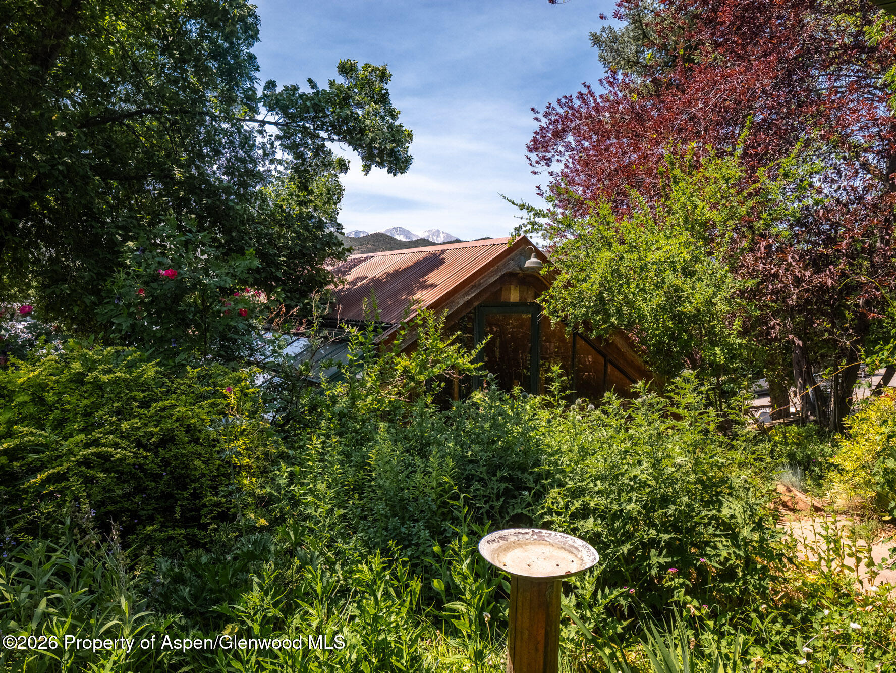 216 E Homestead Drive Basalt CO 81621