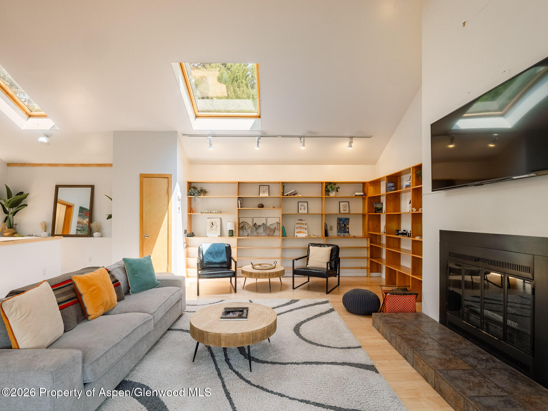 216 E Homestead Drive Basalt CO 81621