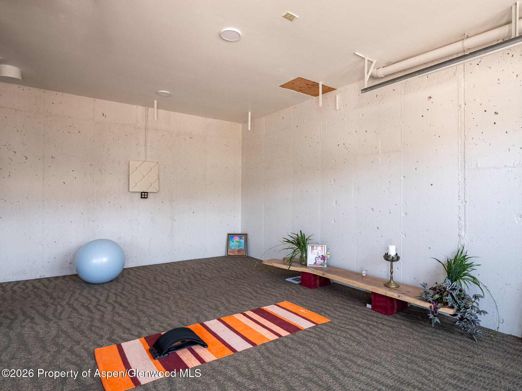 216 E Homestead Drive Basalt CO 81621