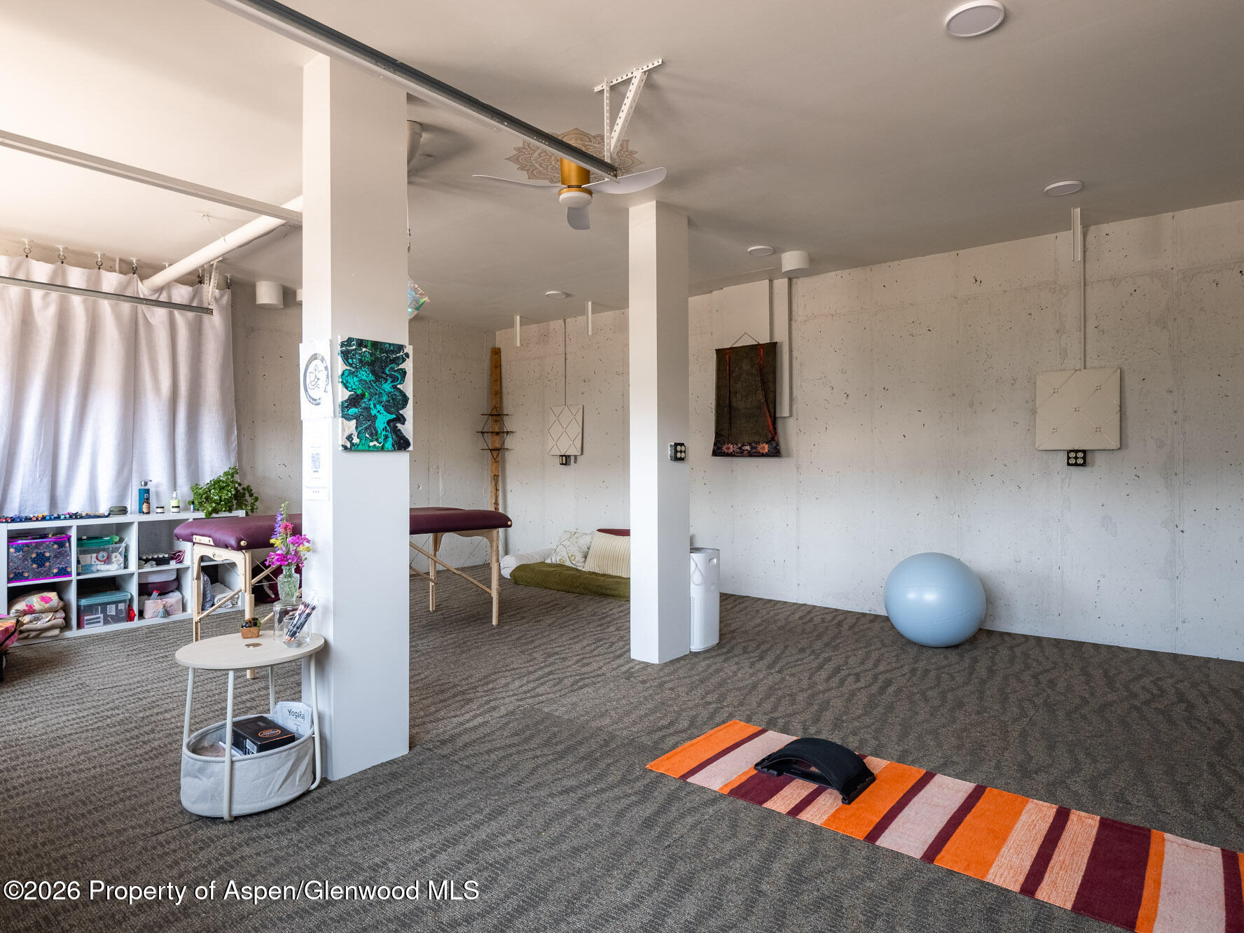 216 E Homestead Drive Basalt CO 81621